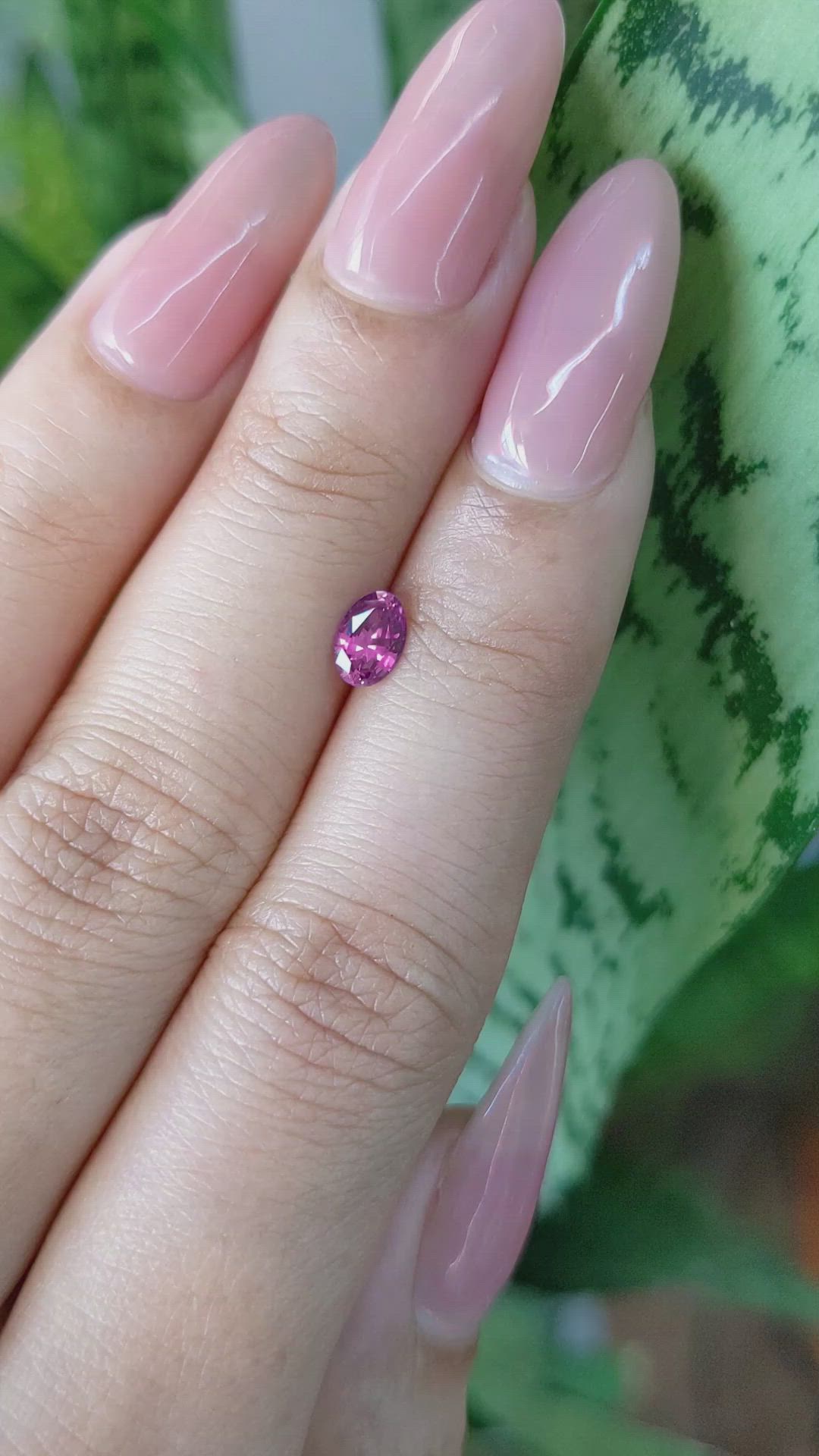 0.50 Ct. Purplish Pink Sapphire from Ceylon (Sri Lanka) Size Video
