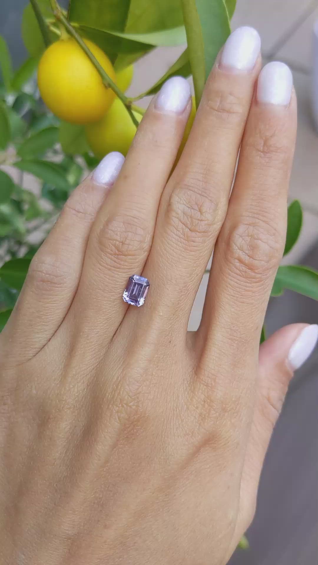 1.66 Ct. Purple Sapphire from Ceylon (Sri Lanka) Size Video