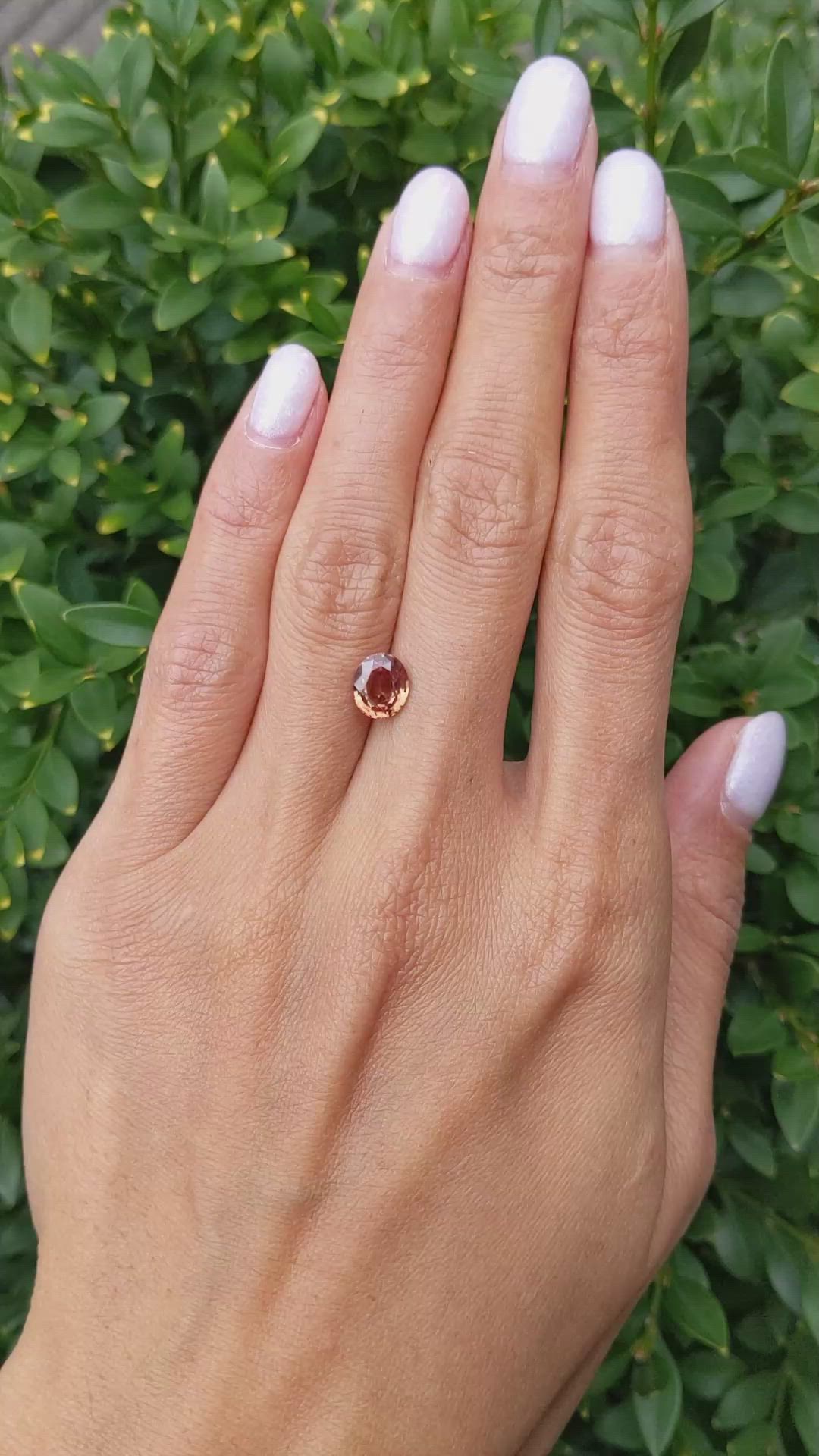 1.64 Ct. Yellowish Brown Sapphire from Ceylon (Sri Lanka) Size Video