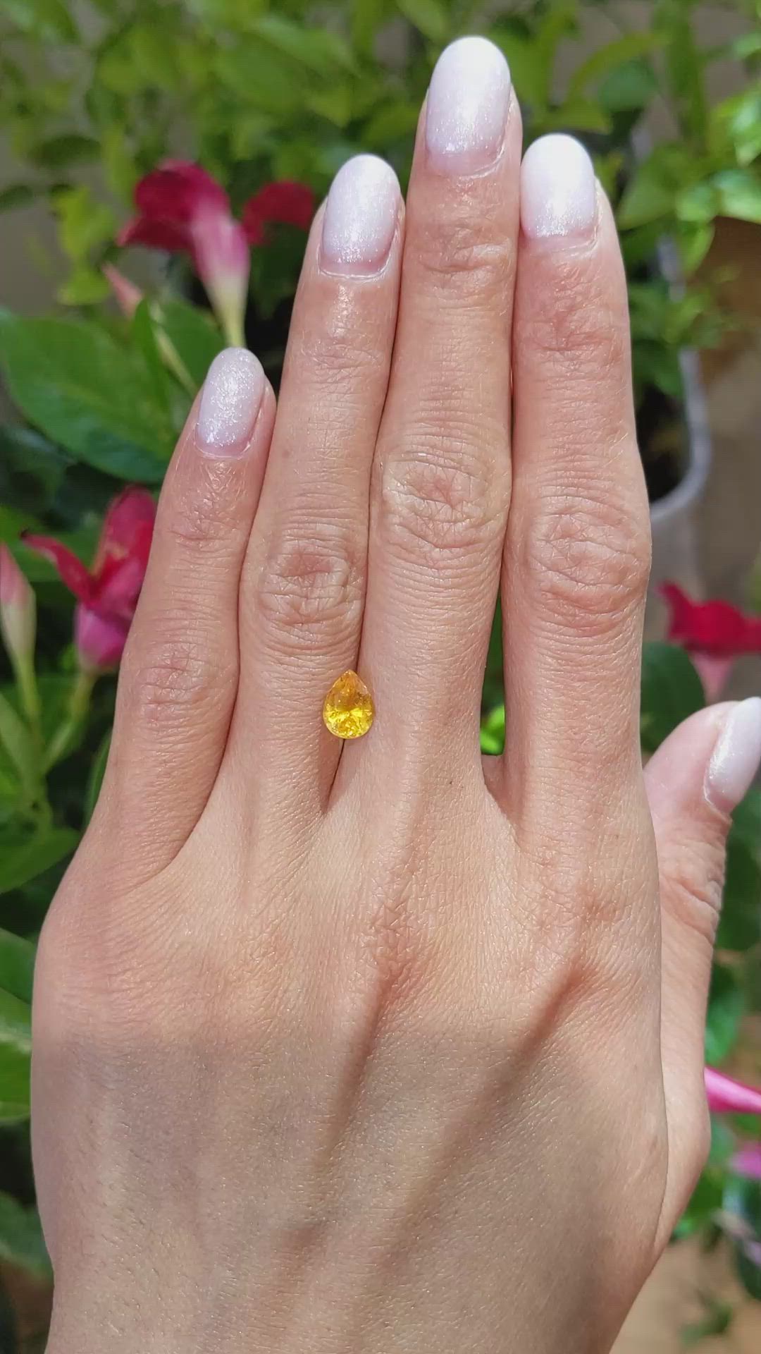 1.40 Ct. Orangish Yellow Sapphire from Ceylon (Sri Lanka) Size Video