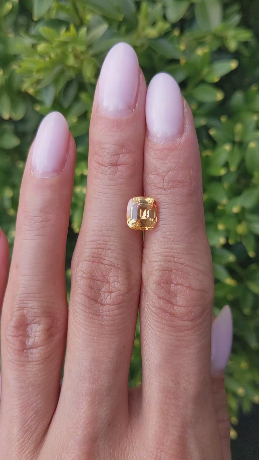 2.54 Ct. Yellowish Orange Sapphire from Ceylon (Sri Lanka) Size Video