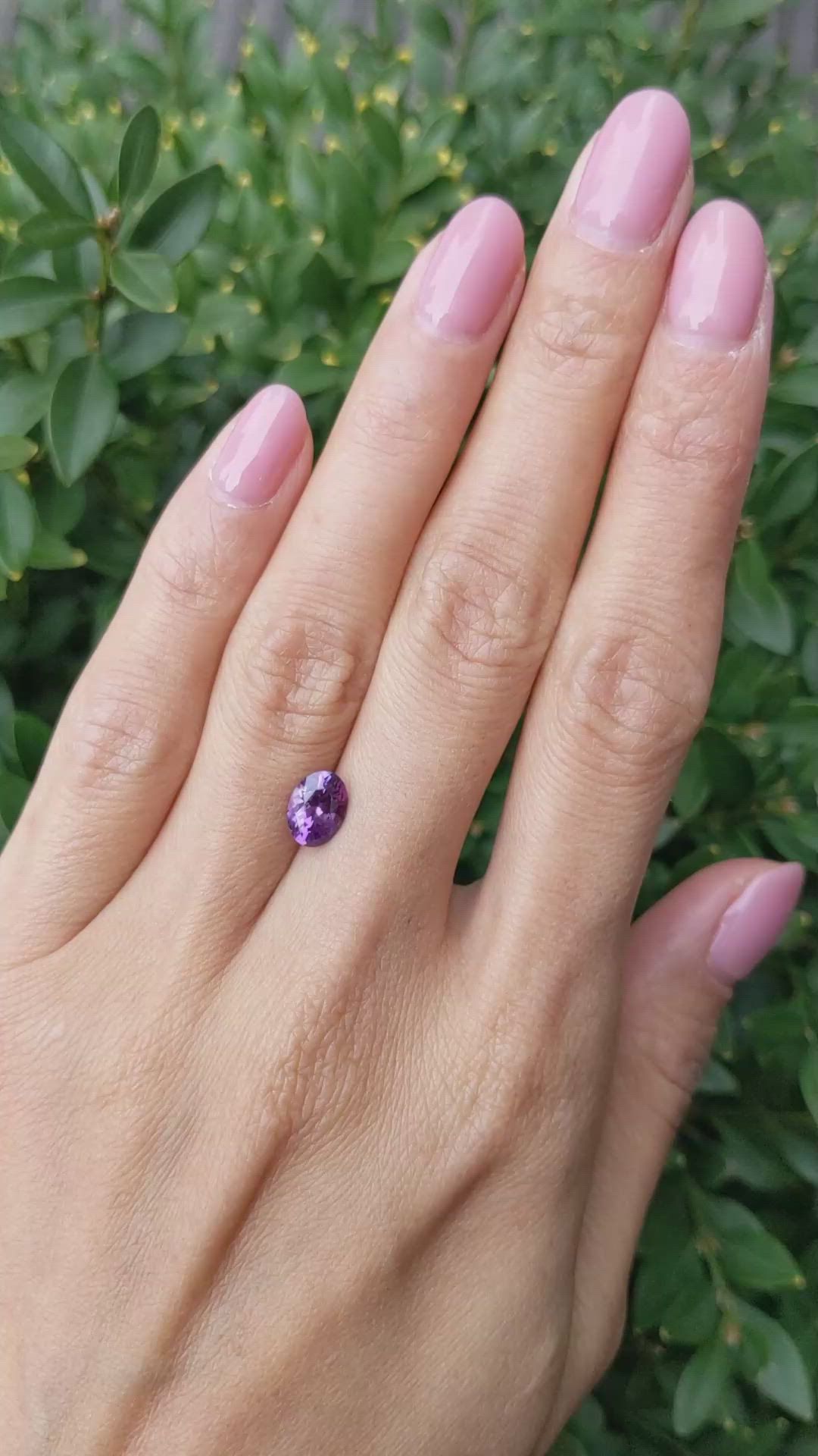 1.39 Ct. Purple Sapphire from Ceylon (Sri Lanka) Size Video