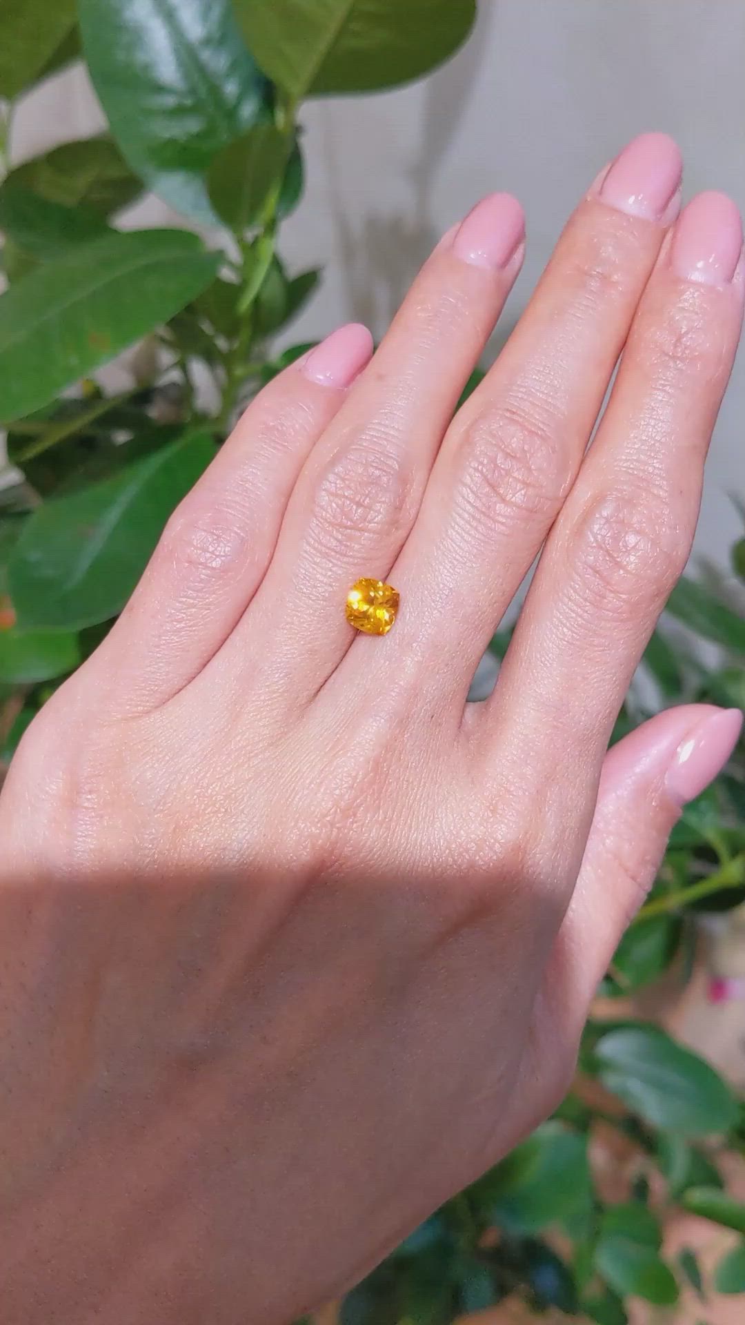 1.52 Ct. Yellowish Orange Sapphire from Ceylon (Sri Lanka) Size Video