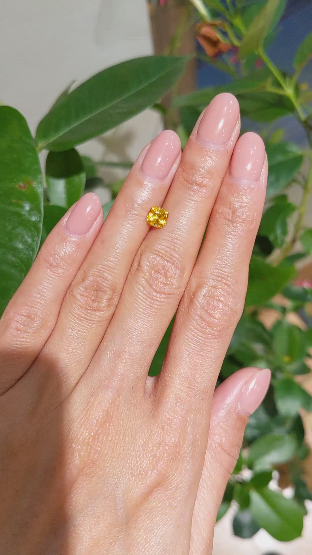 1.05 Ct. Yellowish Orange Sapphire from Ceylon (Sri Lanka) Size Video