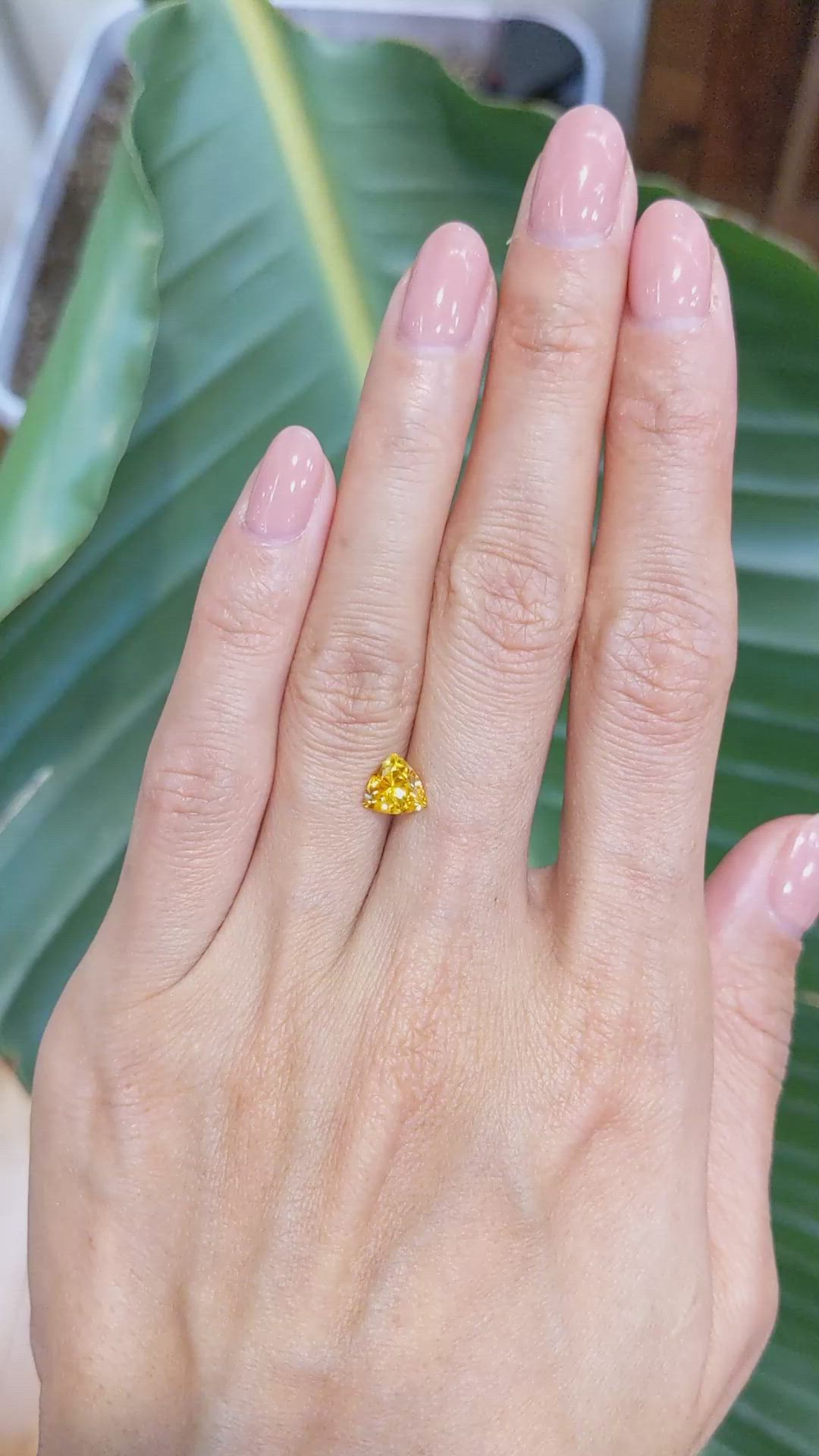 1.10 Ct. Yellowish Orange Sapphire from Ceylon (Sri Lanka) Size Video