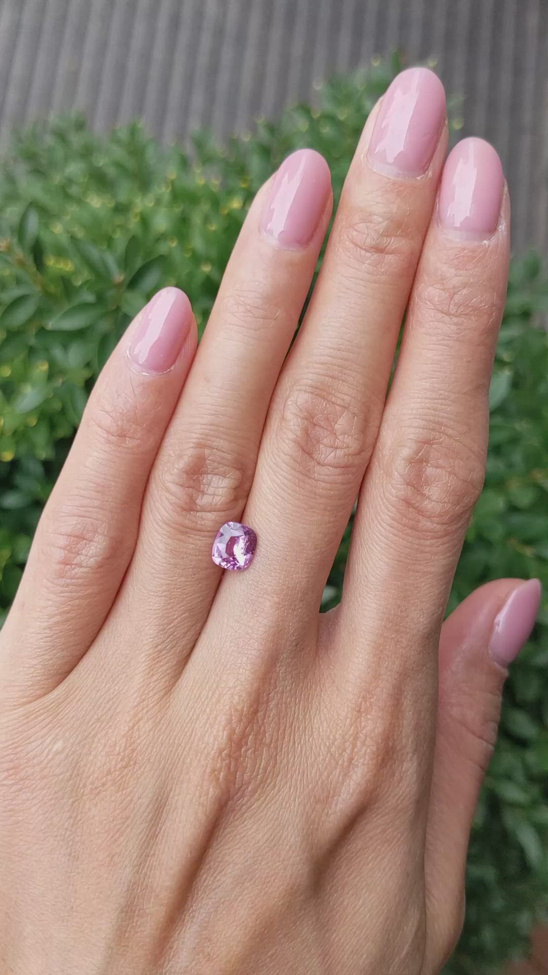 1.52 Ct. Purplish Pink Sapphire from Ceylon (Sri Lanka) Size Video
