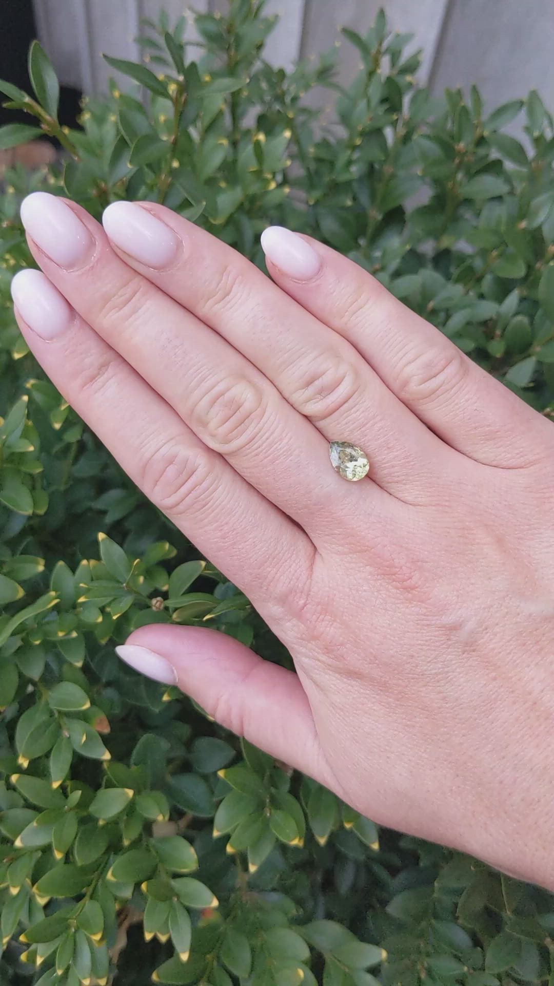 1.95 Ct. Yellowish Green Sapphire from Montana Size Video