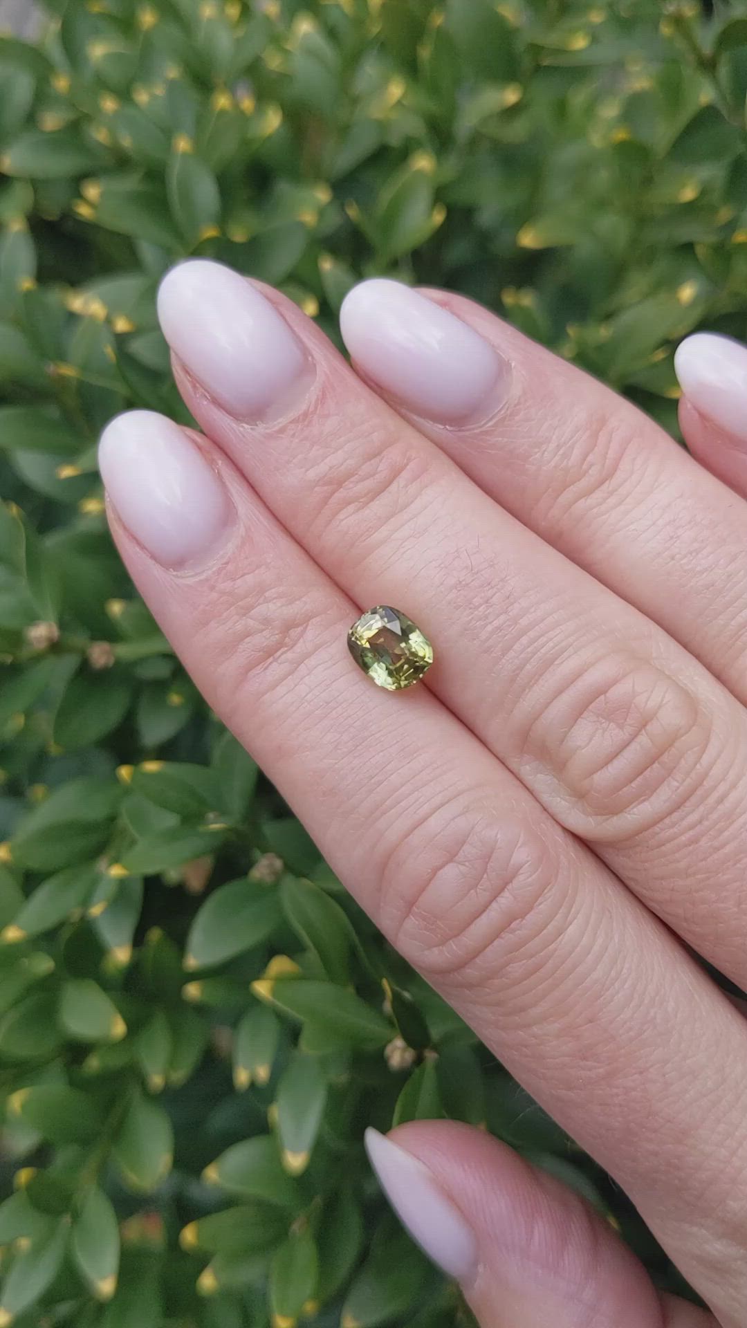1.94 Ct. Yellowish Green Sapphire from Ceylon (Sri Lanka) Size Video