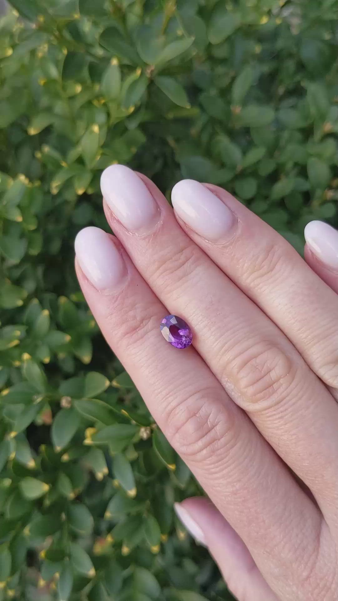 1.82 Ct. Purple Sapphire from Ceylon (Sri Lanka) Size Video