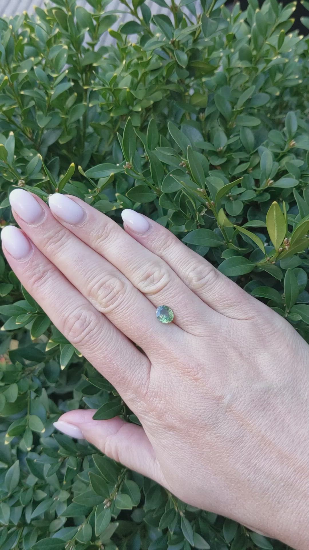 1.32 Ct. Yellowish Green Sapphire from Nigeria Size Video