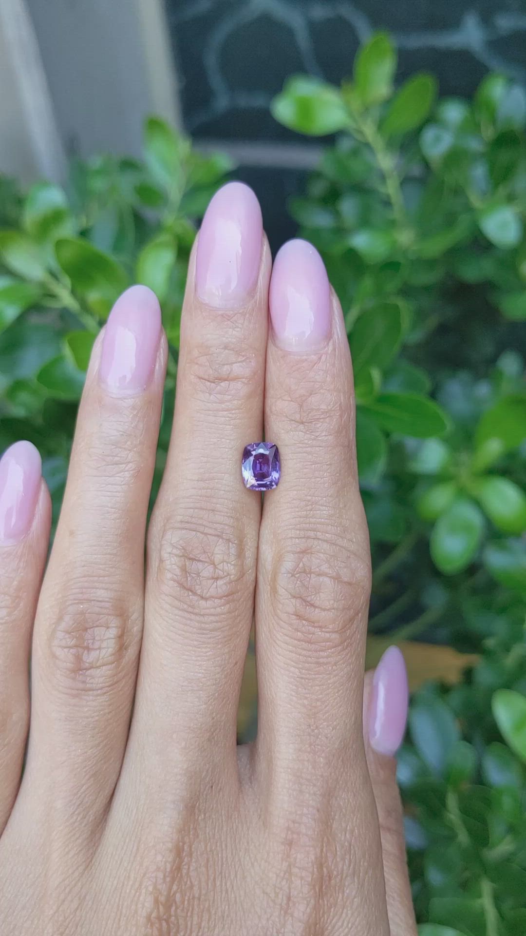 1.44 Ct. Purple Sapphire from Ceylon (Sri Lanka) Size Video