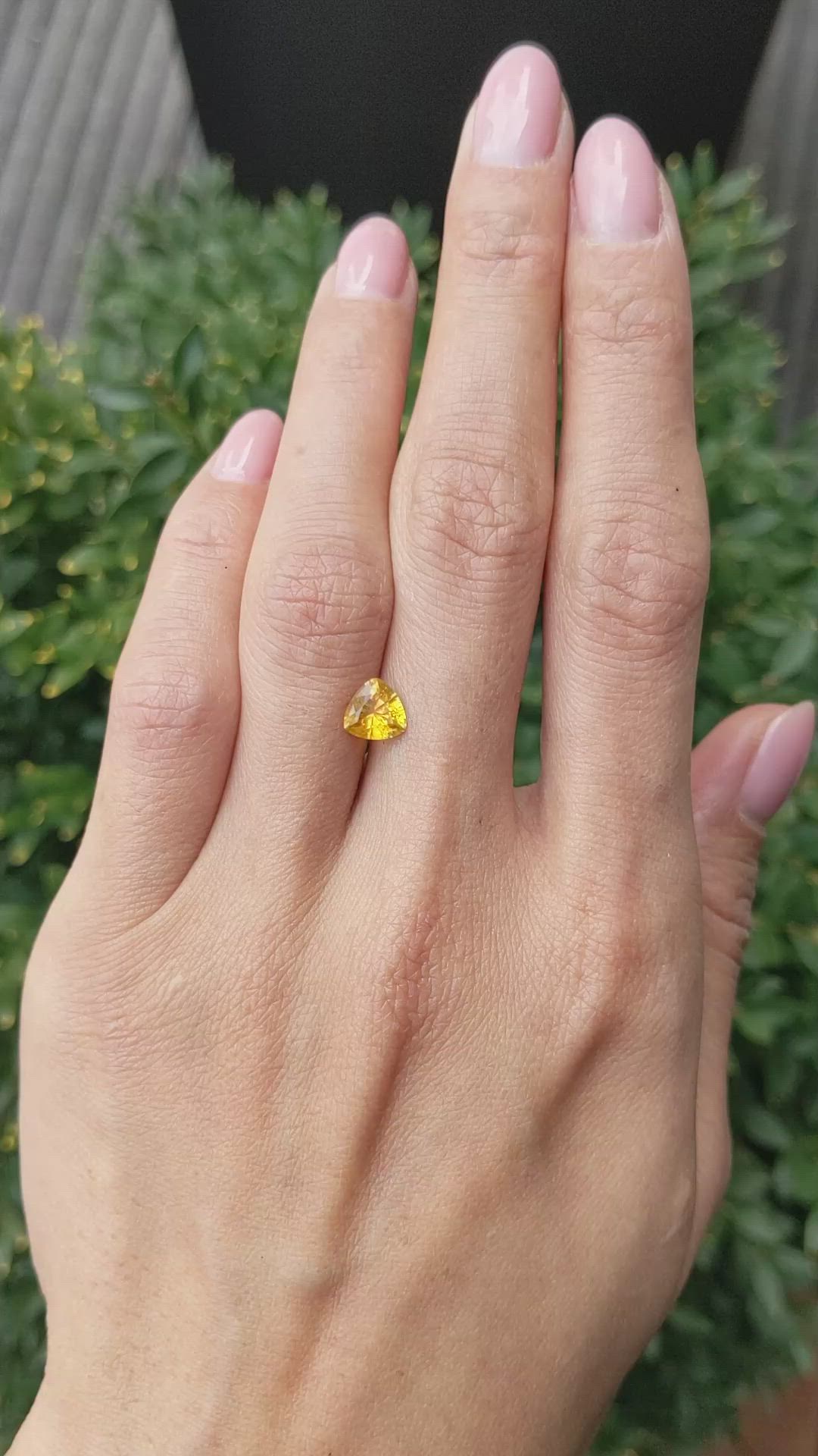 1.17 Ct. Orangish Yellow Sapphire from Ceylon (Sri Lanka) Size Video