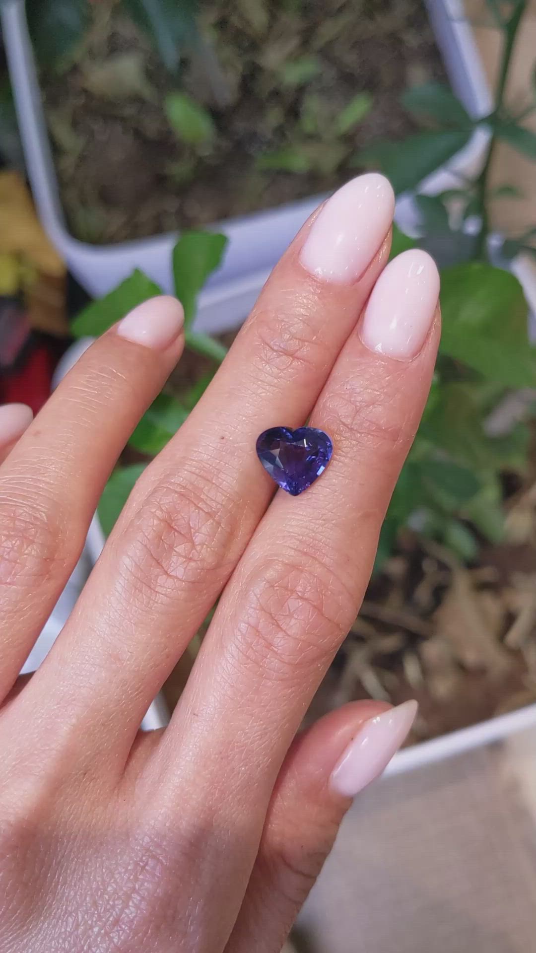 3.53 Ct. Purple Sapphire from Madagascar Size Video