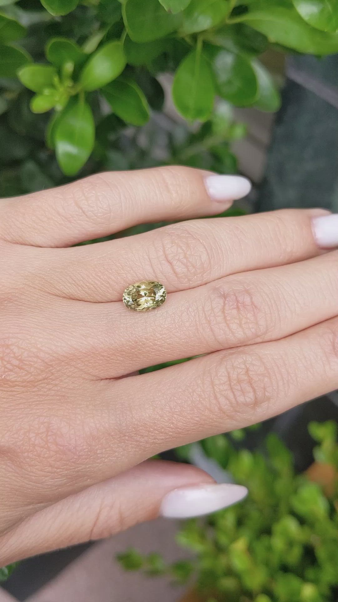 2.43 Ct. Yellowish Green Sapphire from Ceylon (Sri Lanka) Size Video