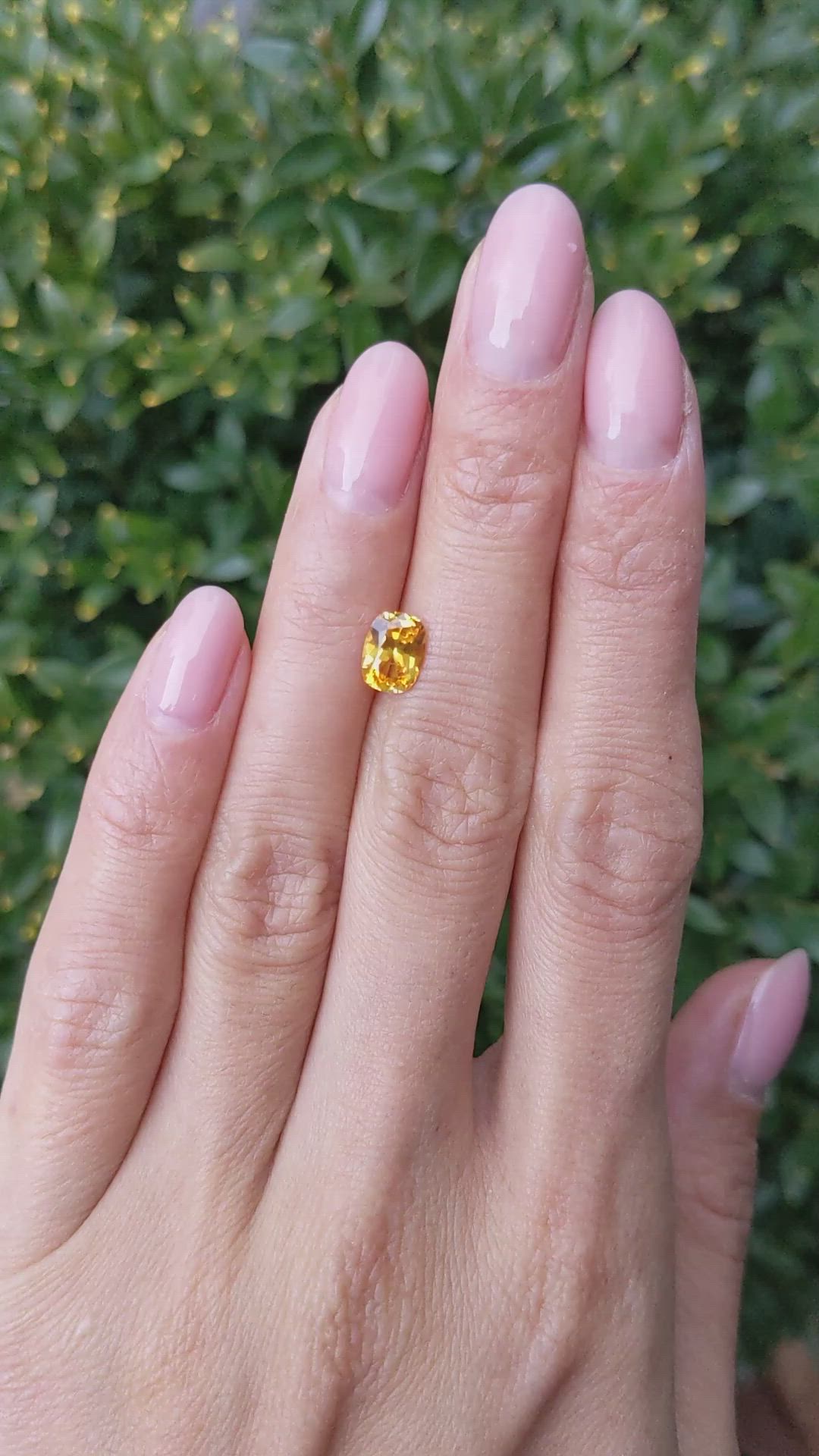 1.29 Ct. Yellowish Orange Sapphire from Ceylon (Sri Lanka) Size Video