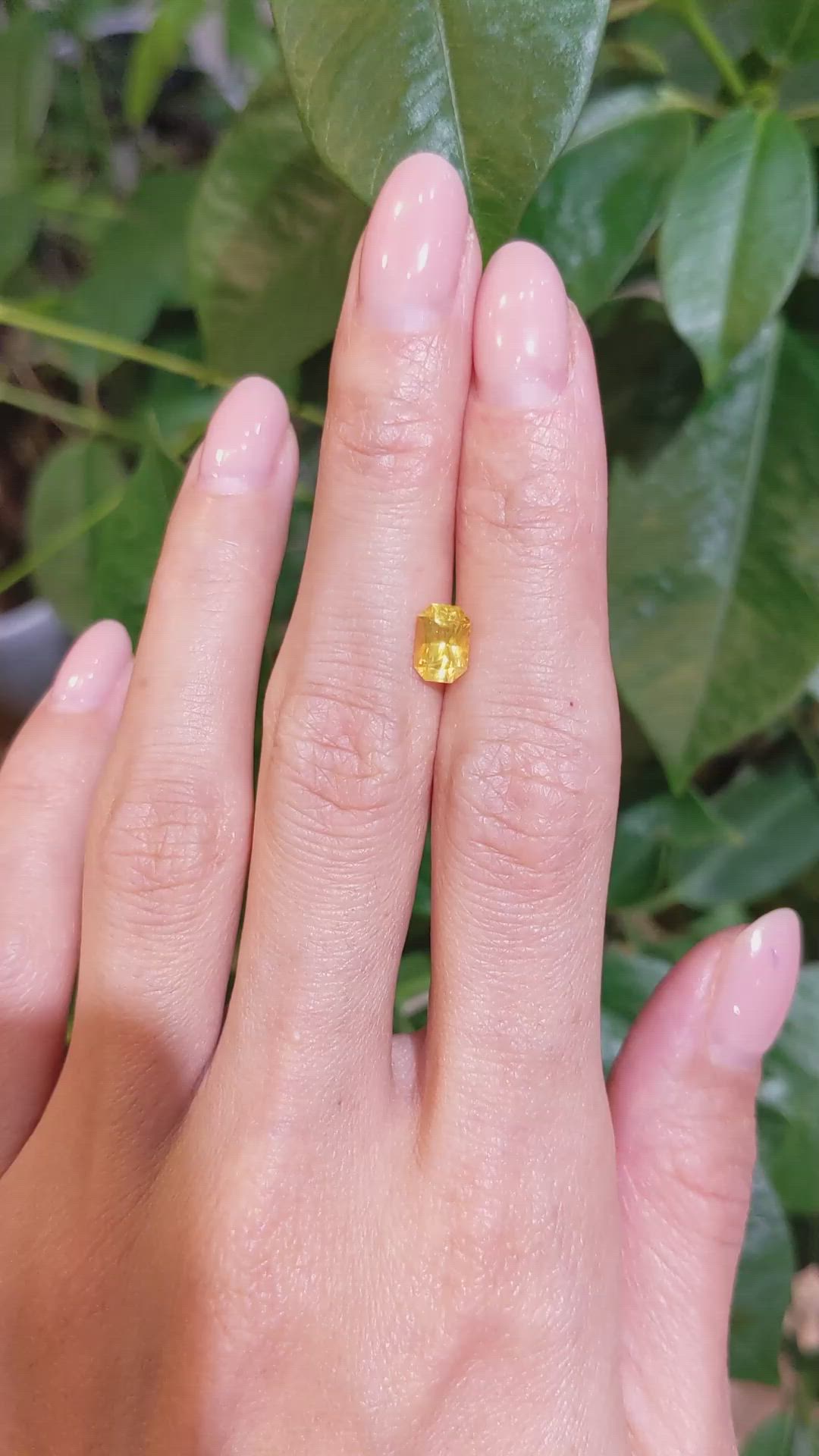 1.15 Ct. Orangish Yellow Sapphire from Ceylon (Sri Lanka) Size Video