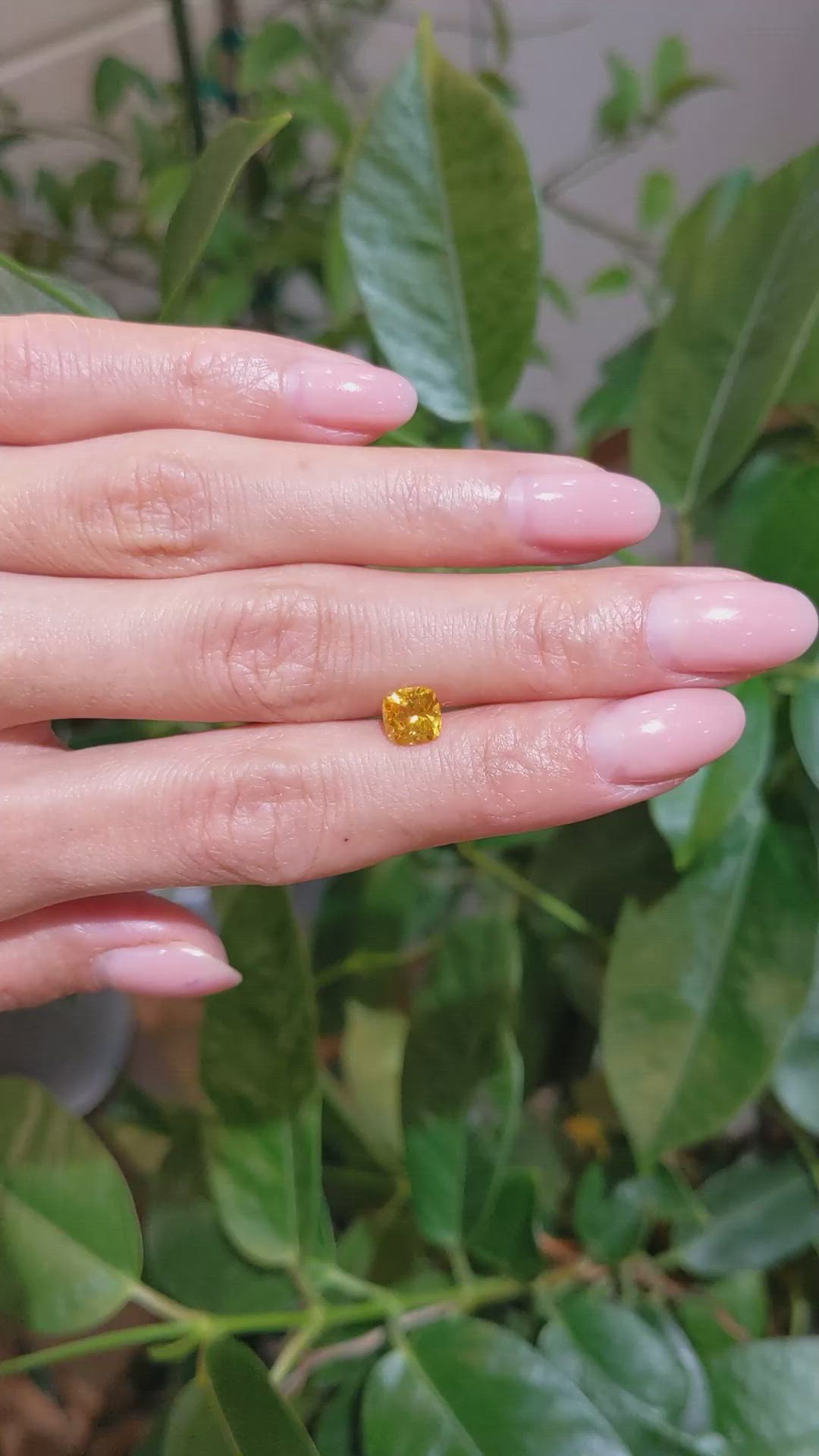 1.12 Ct. Orangish Yellow Sapphire from Ceylon (Sri Lanka) Size Video