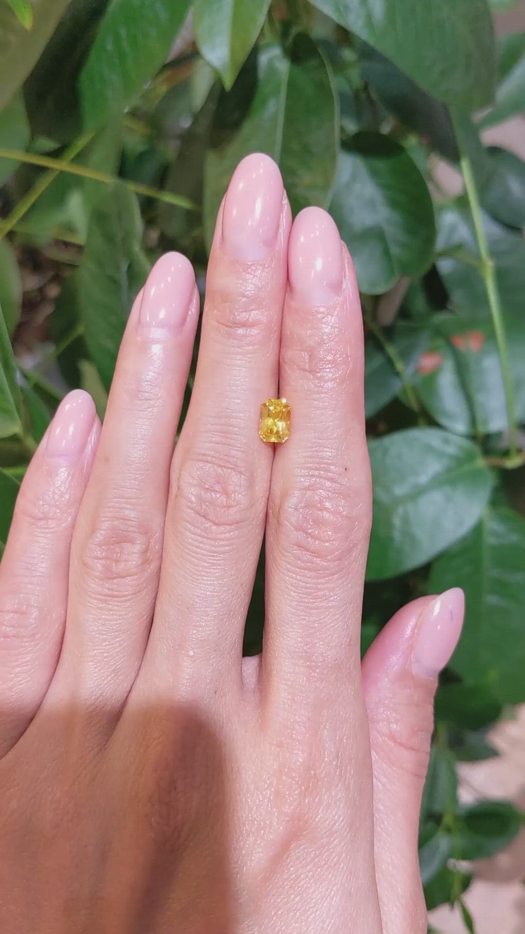 1.24 Ct. Orangish Yellow Sapphire from Ceylon (Sri Lanka) Size Video