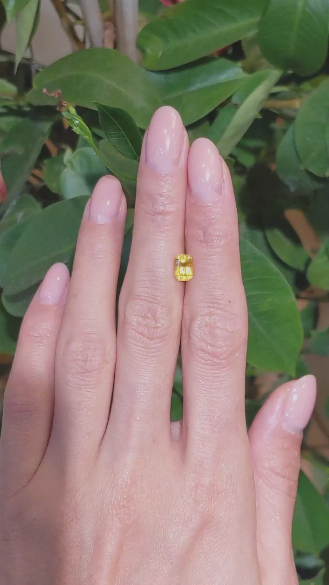 1.20 Ct. Orangish Yellow Sapphire from Ceylon (Sri Lanka) Size Video
