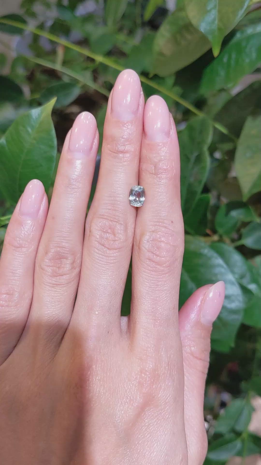 1.32 Ct. Yellowish Green Sapphire from Montana Size Video