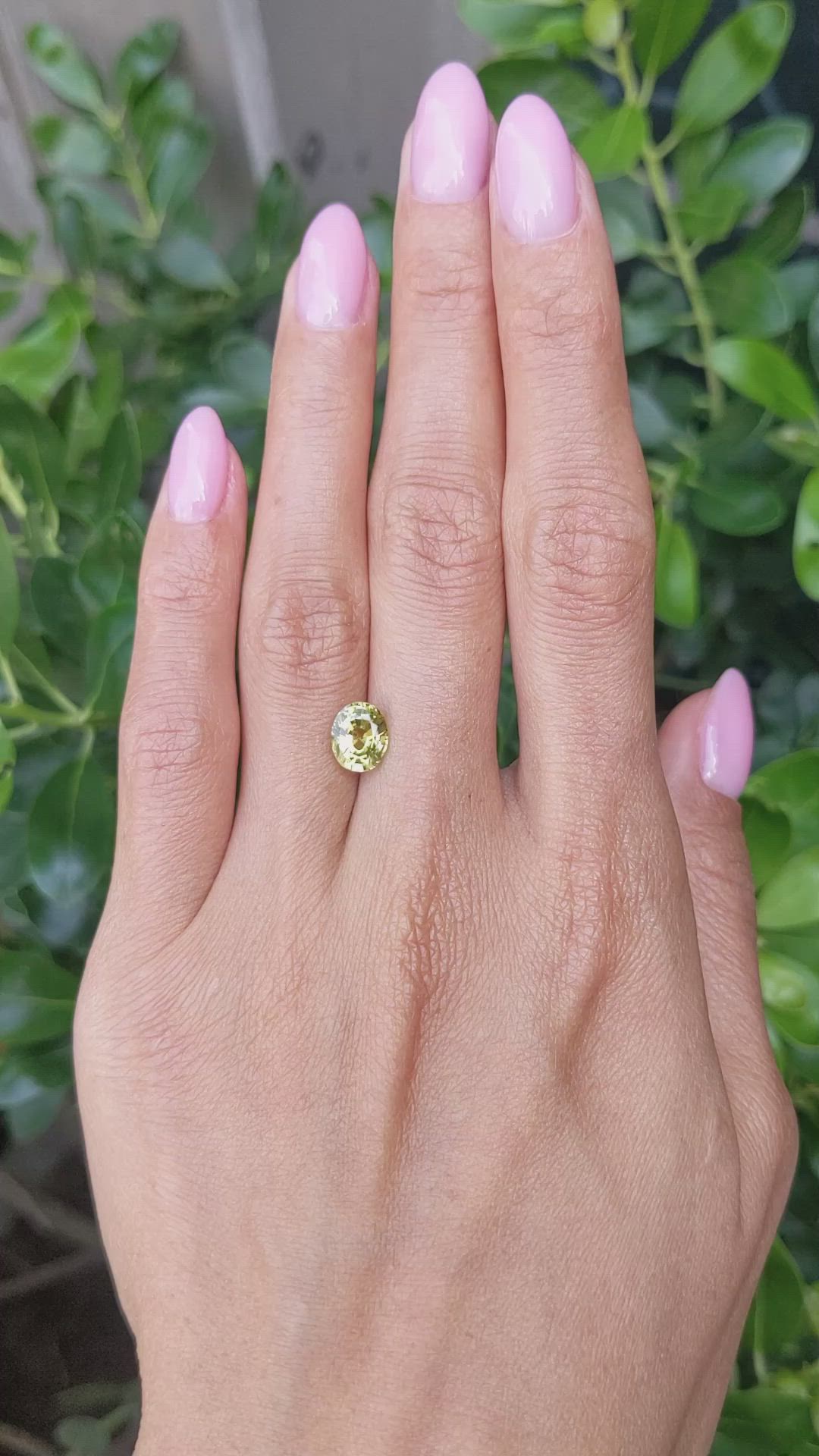 2.03 Ct. Yellowish Green Sapphire from Ceylon (Sri Lanka) Size Video