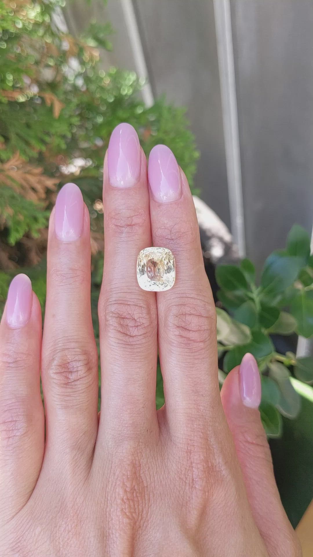 11.50 Ct. Yellow Sapphire from Ceylon (Sri Lanka) Size Video