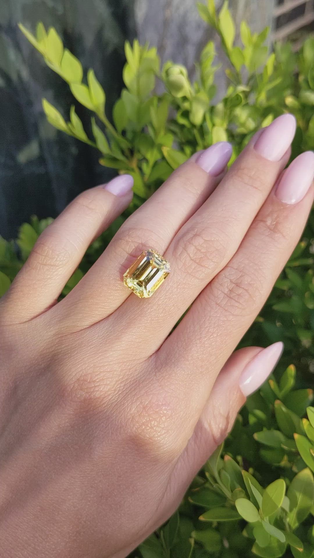 8.06 Ct. Yellow Sapphire from Ceylon (Sri Lanka) Size Video