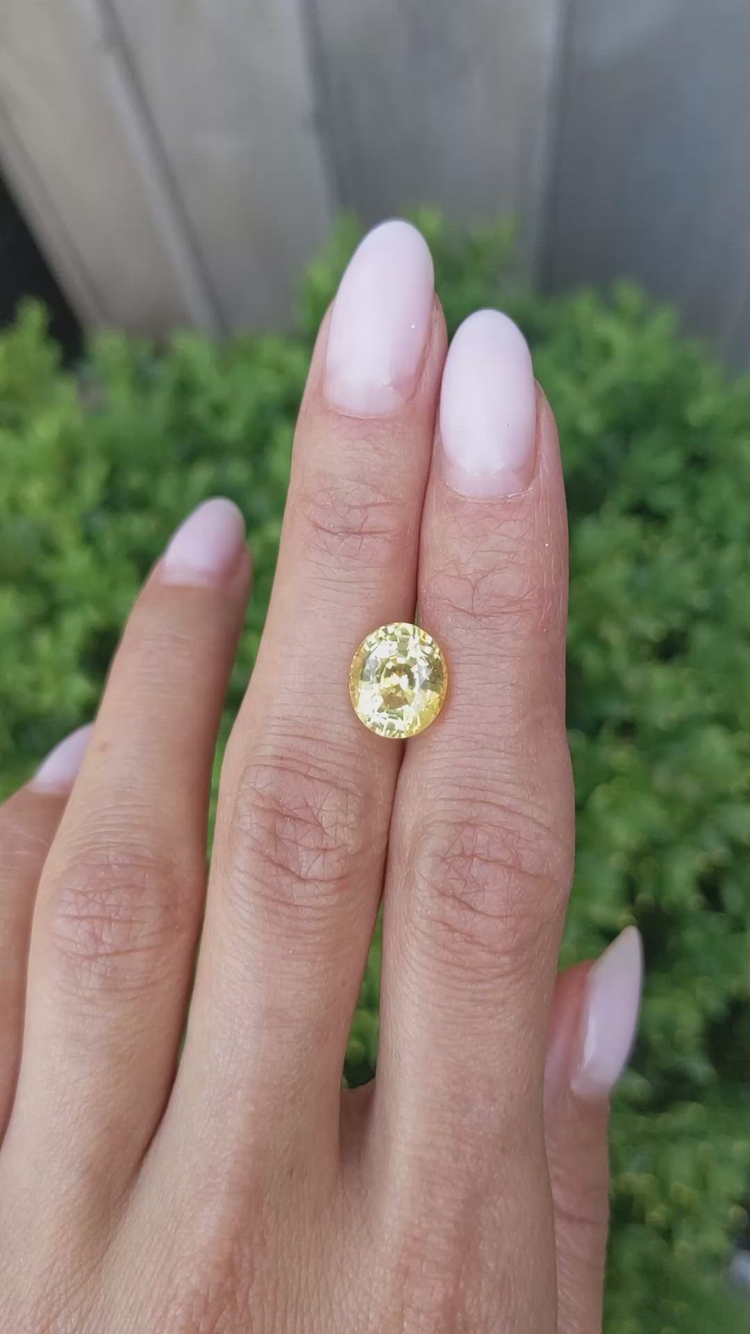 5.04 Ct. Yellow Sapphire from Ceylon (Sri Lanka) Size Video