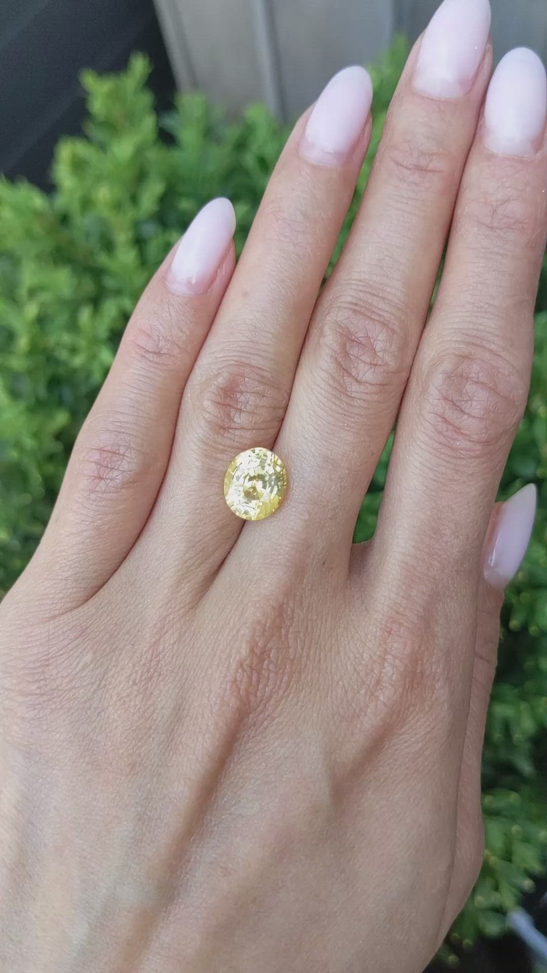 5.04 Ct. Yellow Sapphire from Ceylon (Sri Lanka) Size Video