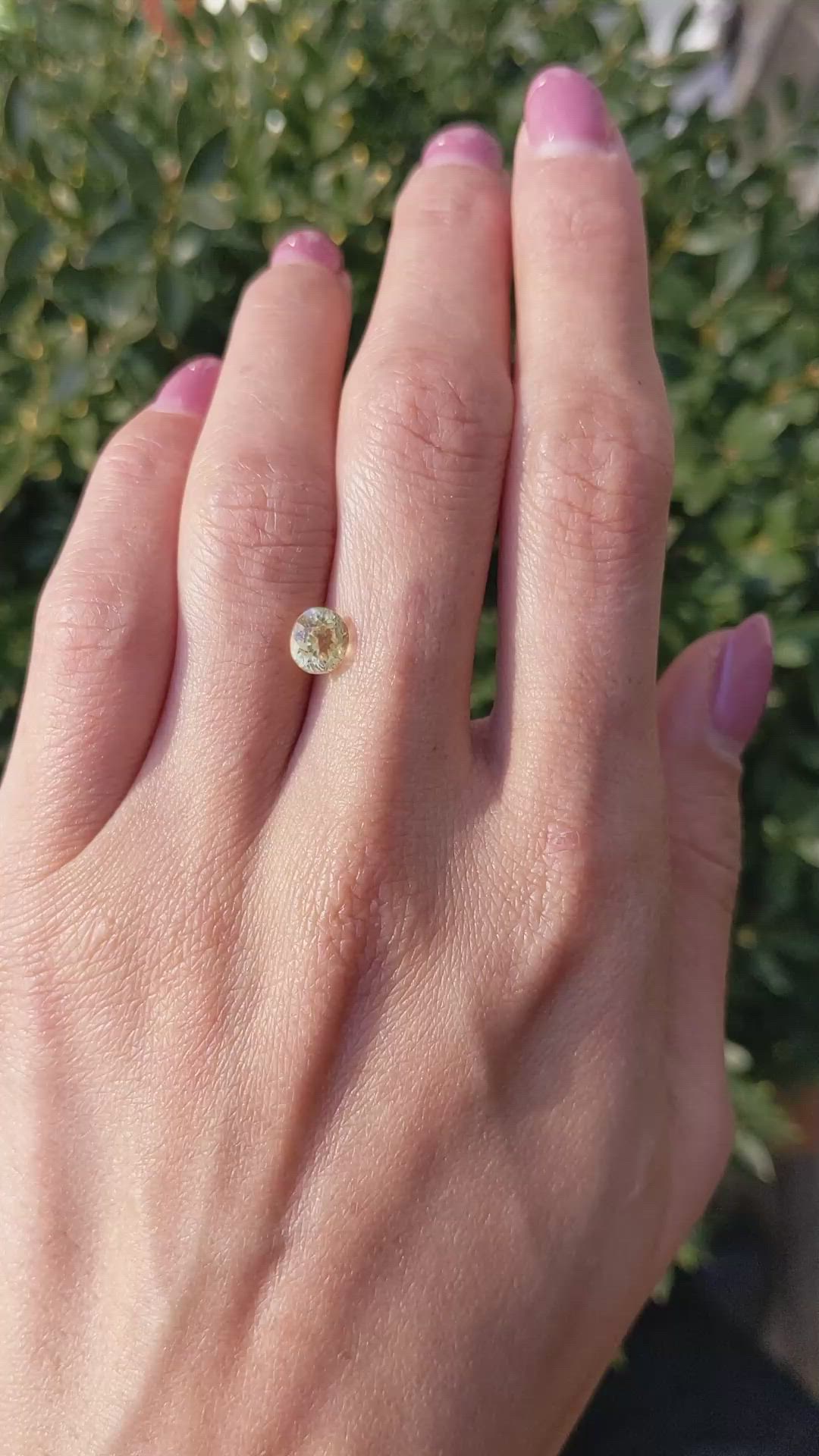 1.53 Ct. Yellow Sapphire from Ceylon (Sri Lanka) Size Video