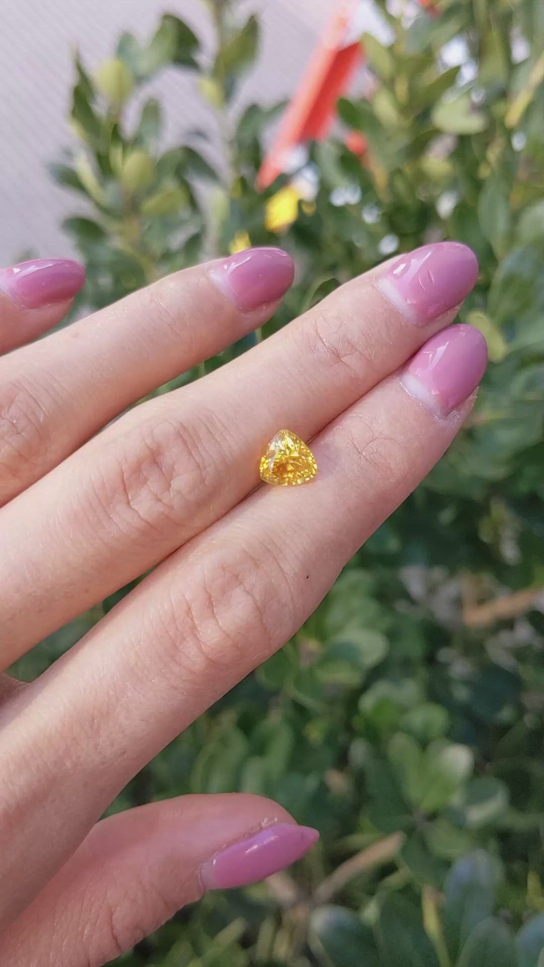 1.84 Ct. Yellow Sapphire from Ceylon (Sri Lanka) Size Video