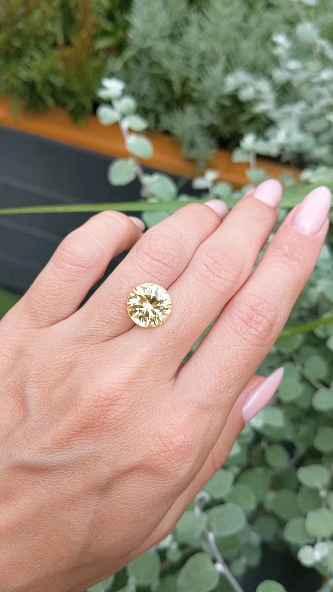 7.50 Ct. Yellow Sapphire from Ceylon (Sri Lanka) Size Video