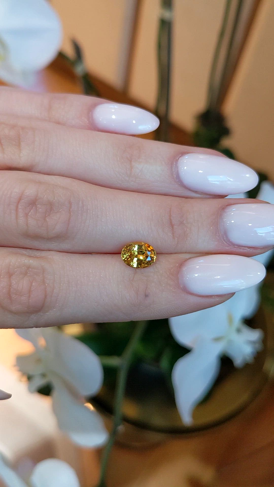 1.79 Ct. Yellow Sapphire from Ceylon (Sri Lanka) Size Video