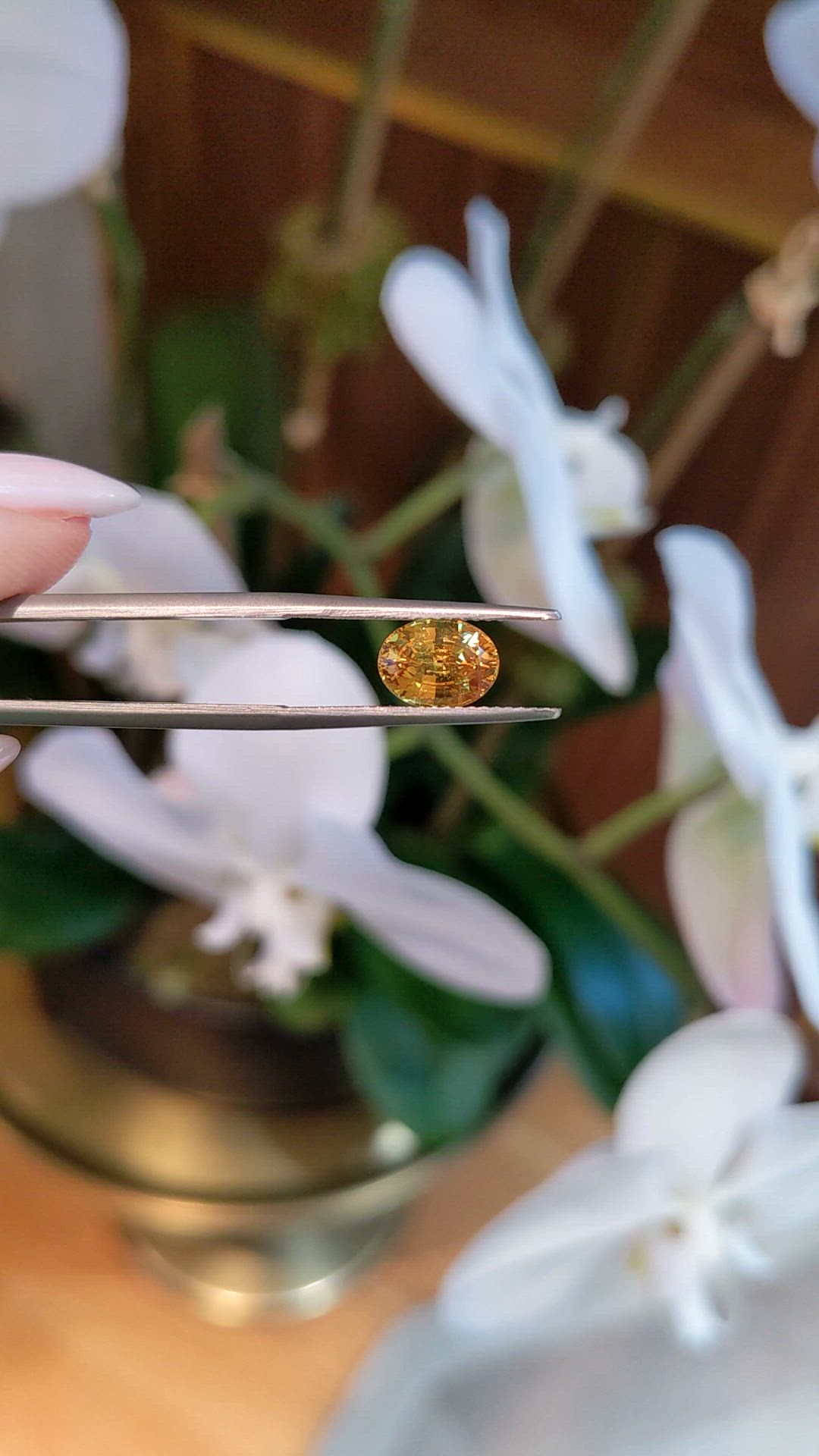 1.79 Ct. Yellow Sapphire from Ceylon (Sri Lanka) Size Video