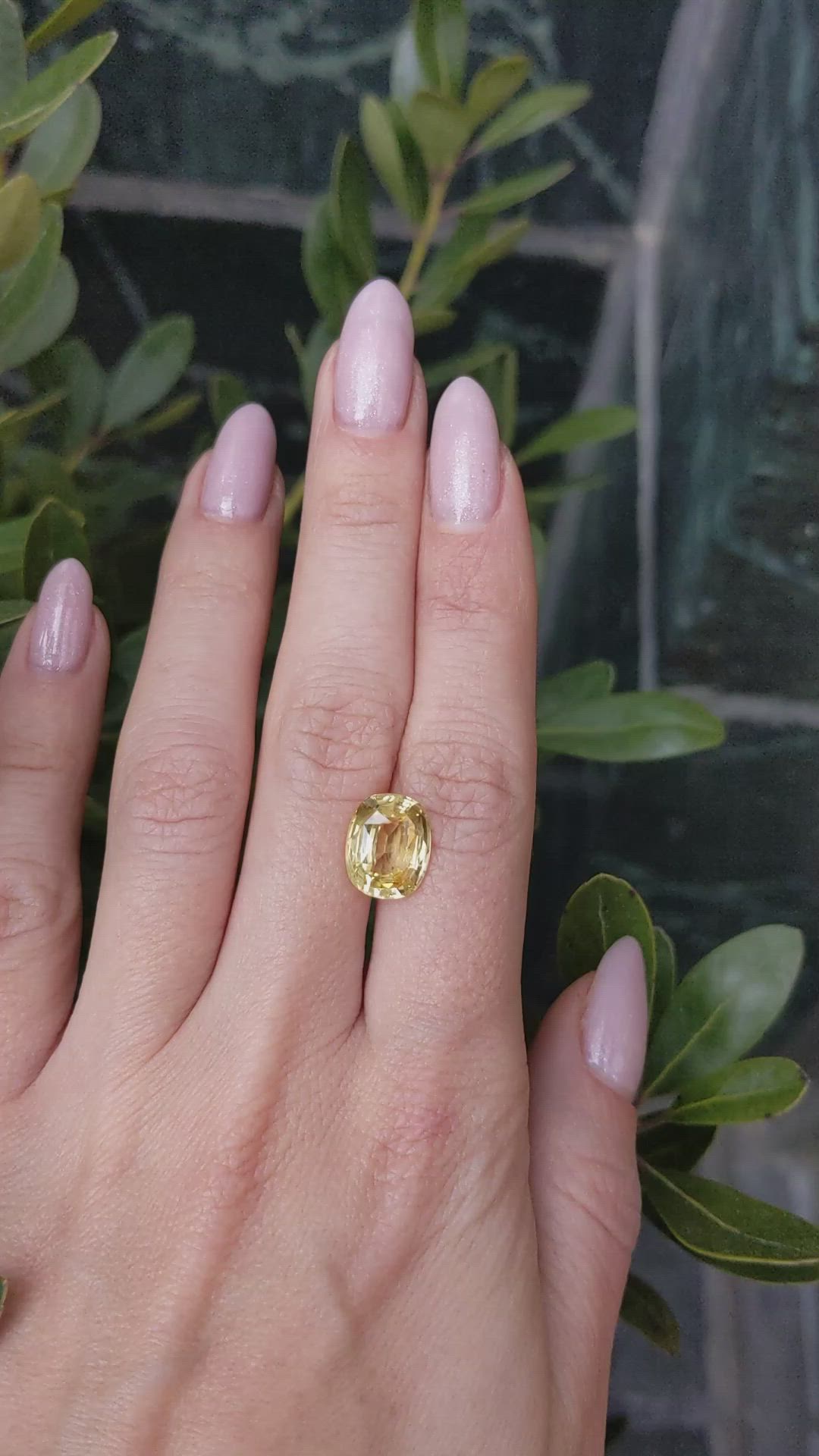 5.46 Ct. Yellow Sapphire from Ceylon (Sri Lanka) Size Video