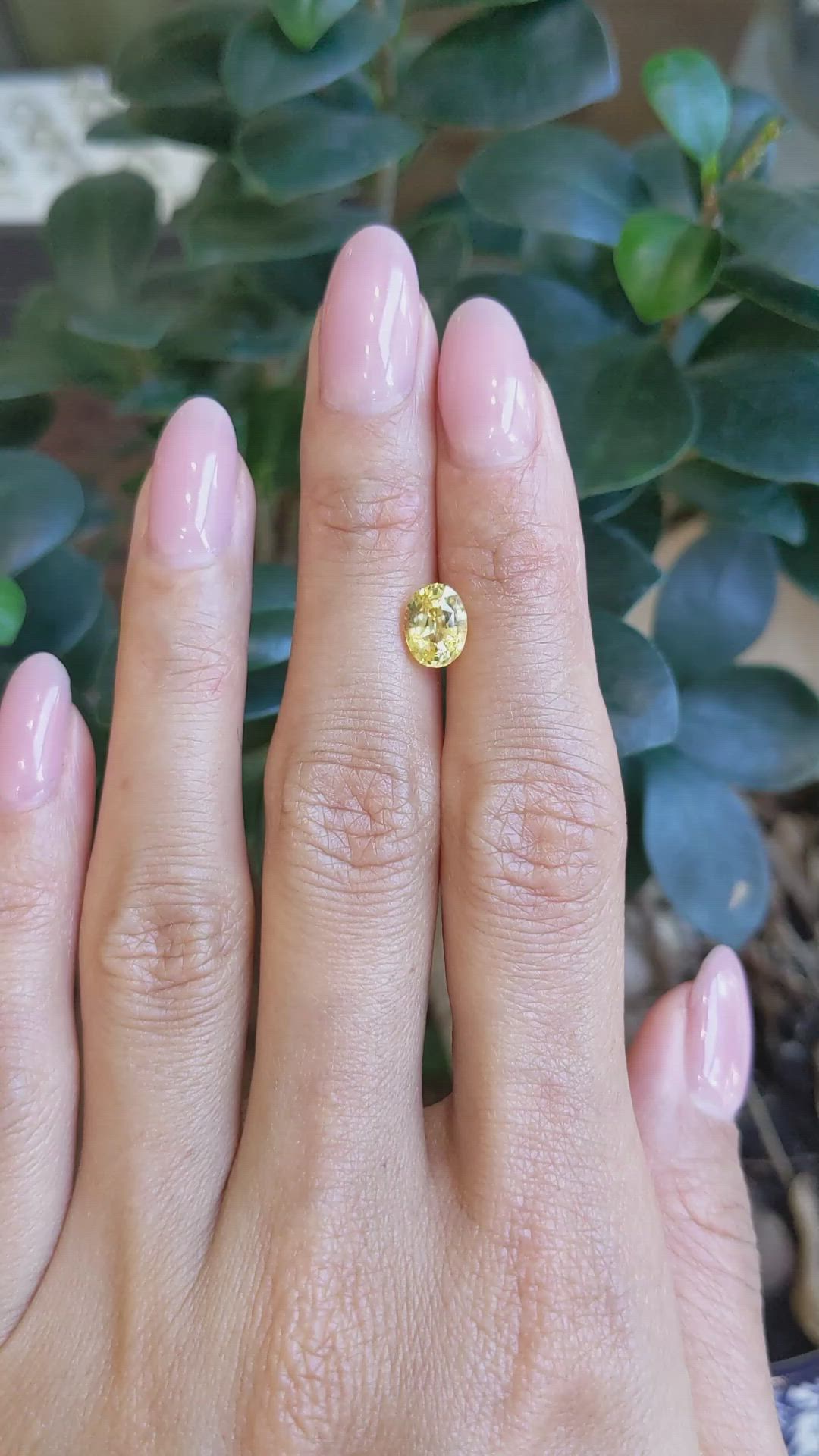 1.67 Ct. Yellow Sapphire from Ceylon (Sri Lanka) Size Video