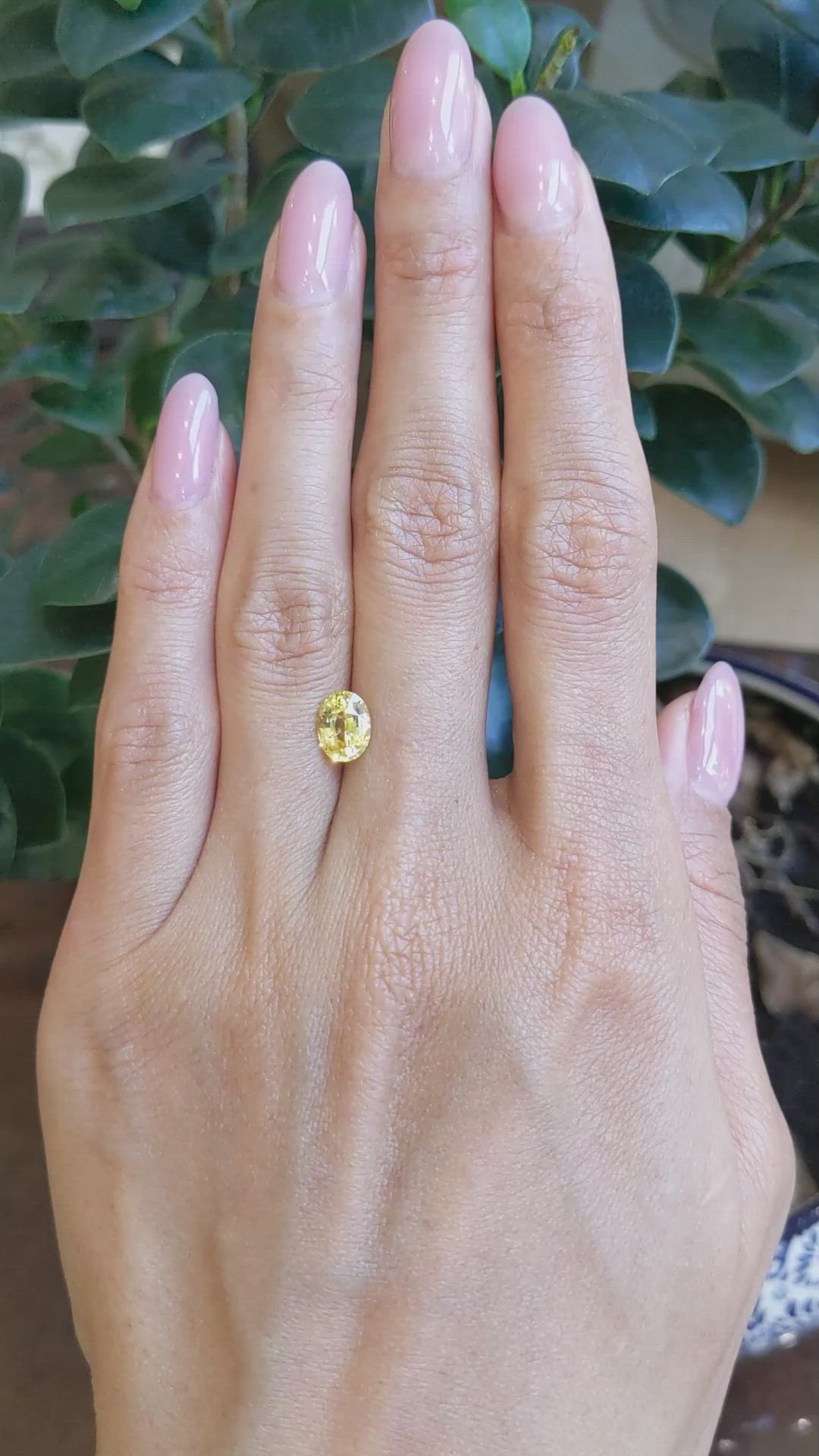 1.67 Ct. Yellow Sapphire from Ceylon (Sri Lanka) Size Video
