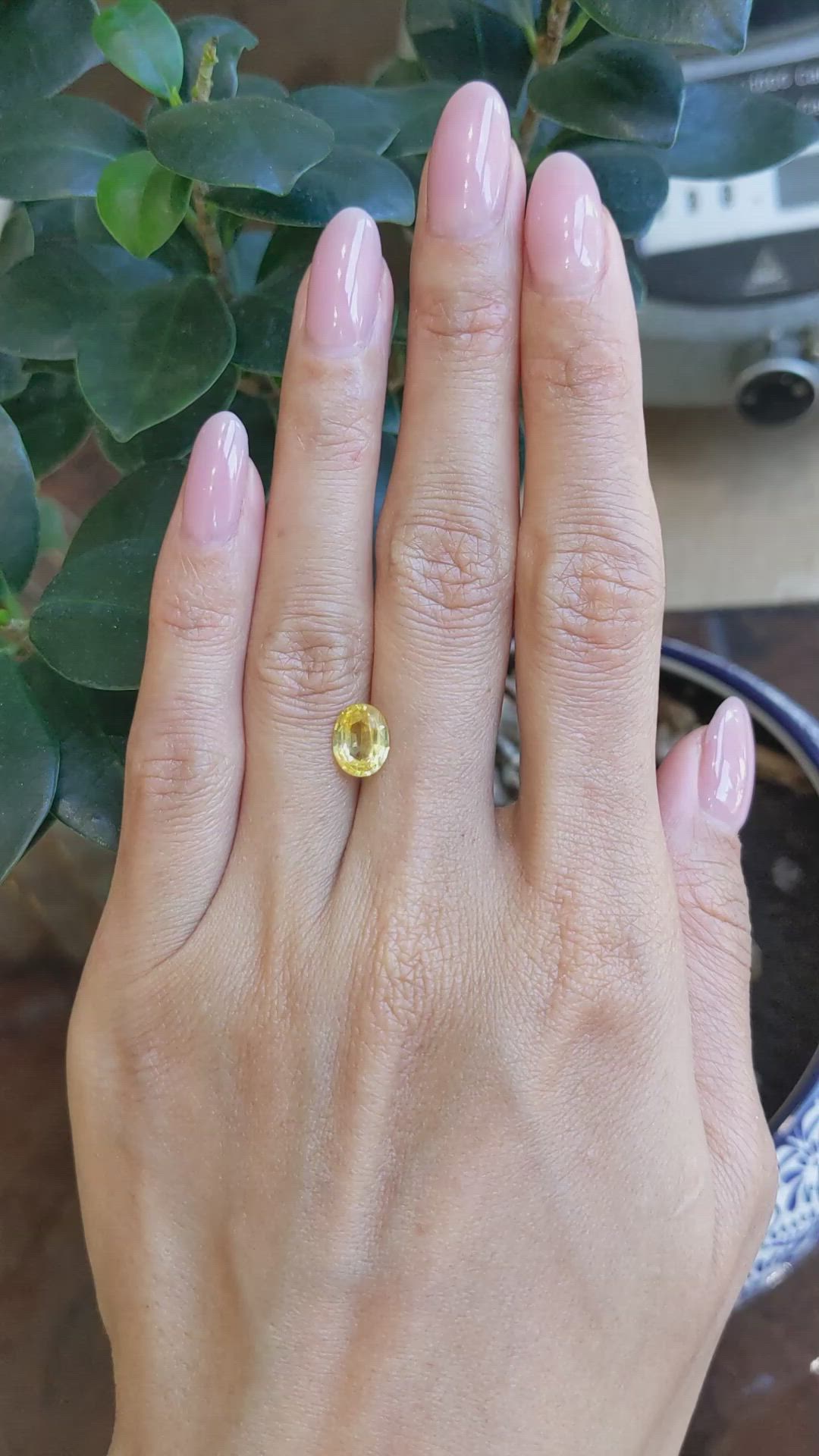 2.10 Ct. Yellow Sapphire from Ceylon (Sri Lanka) Size Video