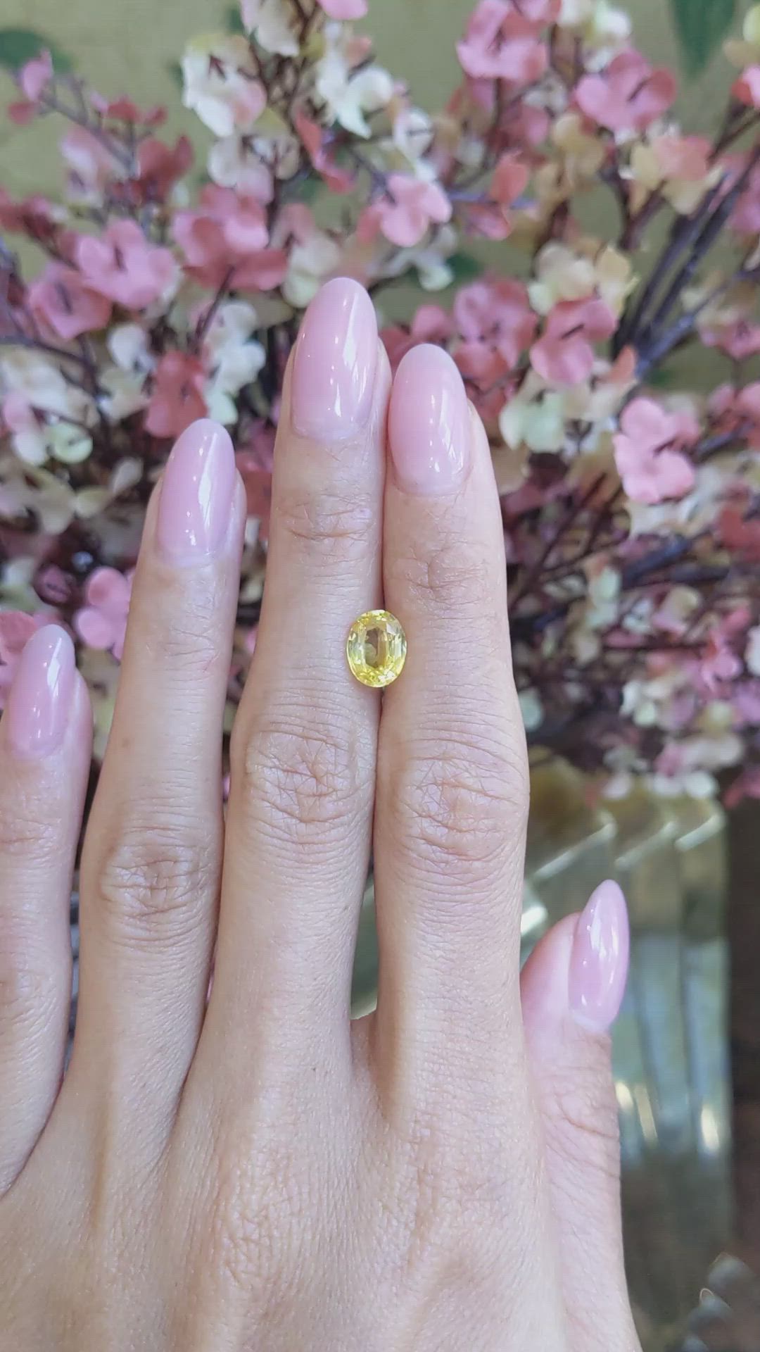 2.10 Ct. Yellow Sapphire from Ceylon (Sri Lanka) Size Video