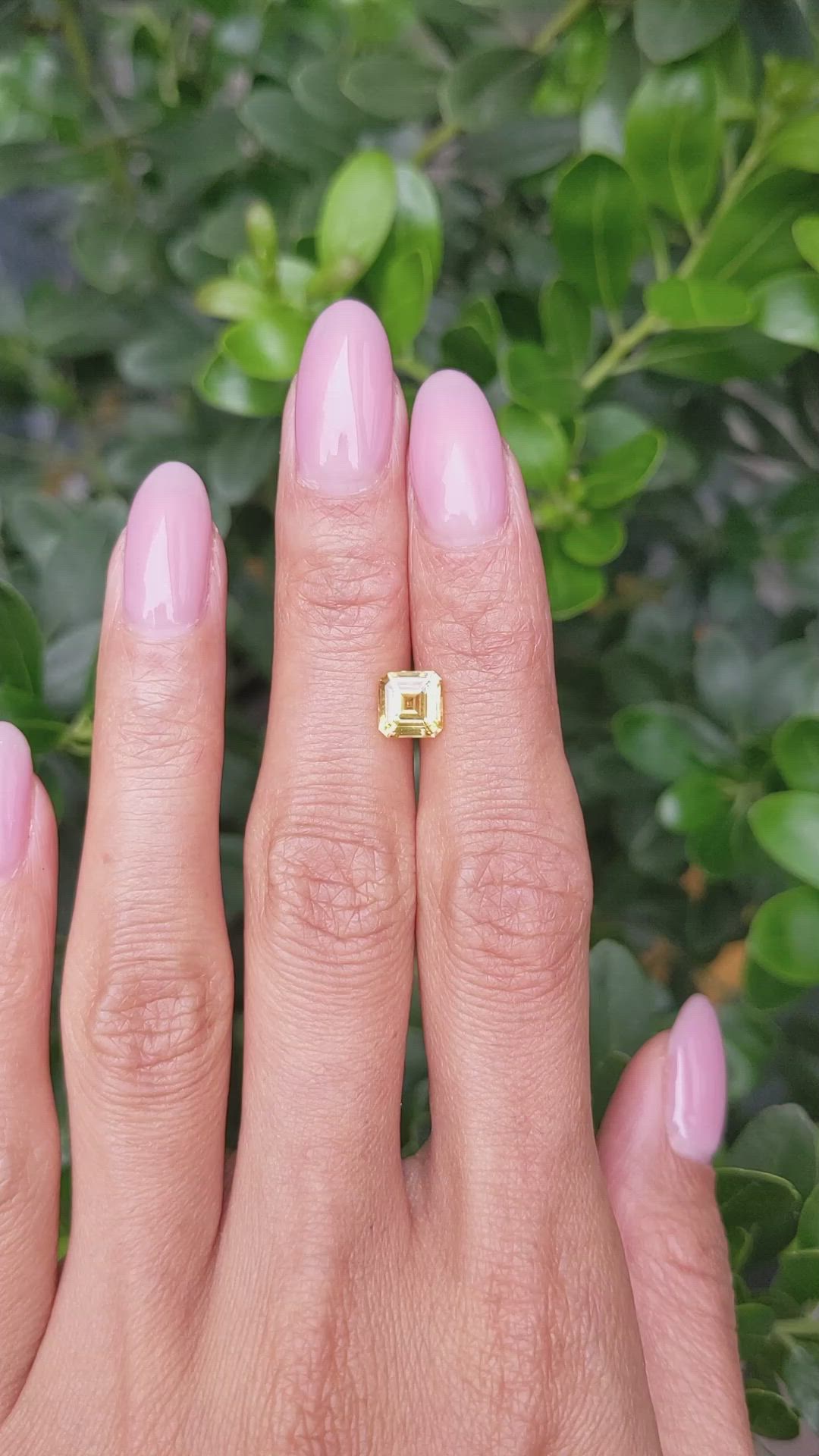 1.56 Ct. Yellow Sapphire from Ceylon (Sri Lanka) Size Video