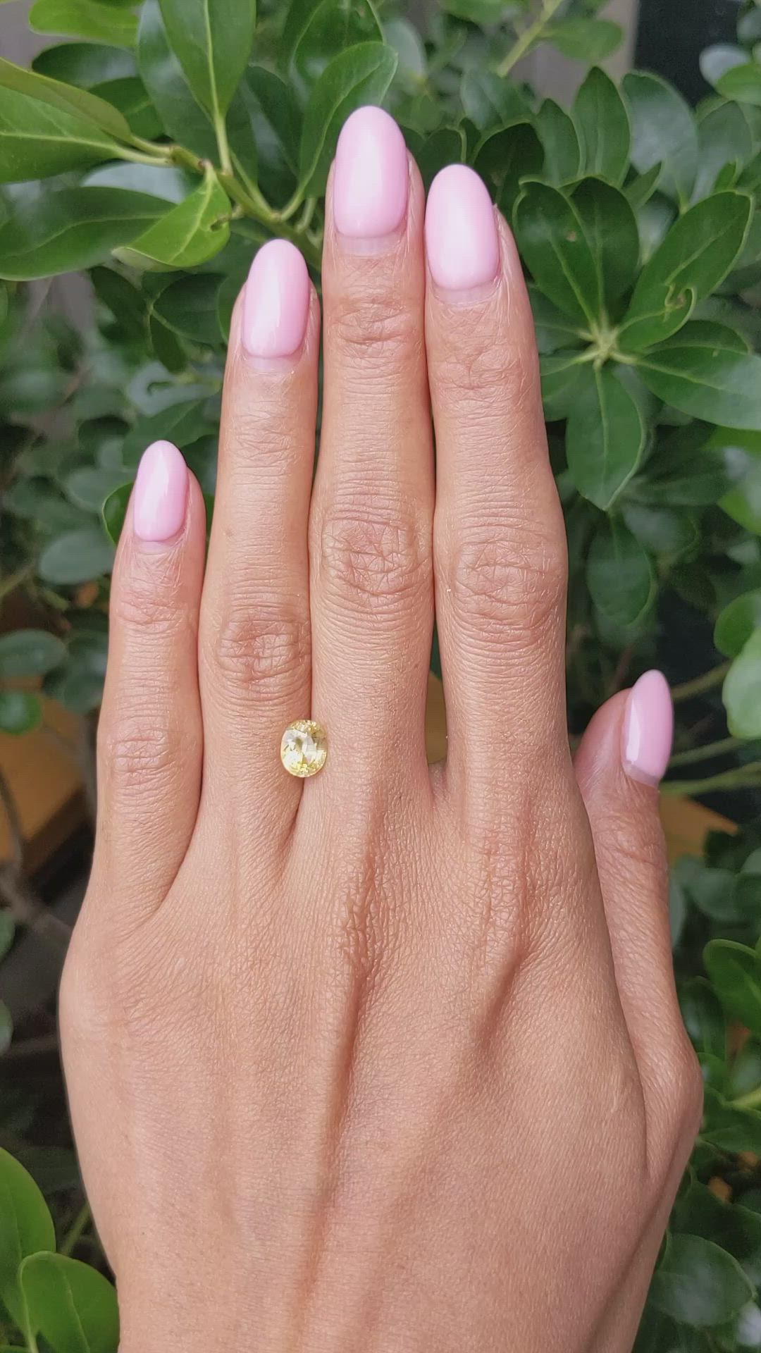 2.02 Ct. Yellow Sapphire from Ceylon (Sri Lanka) Size Video