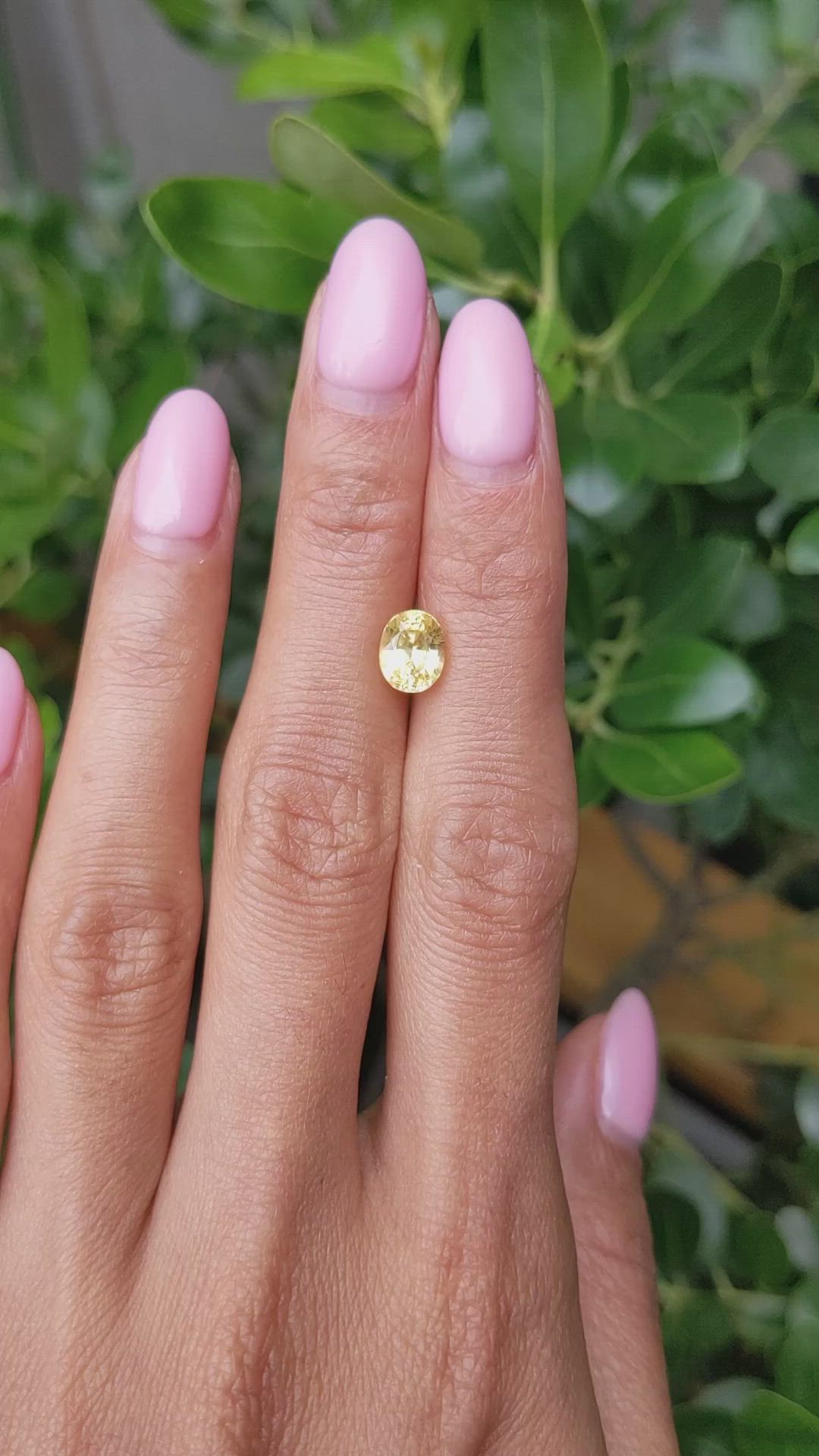 2.02 Ct. Yellow Sapphire from Ceylon (Sri Lanka) Size Video