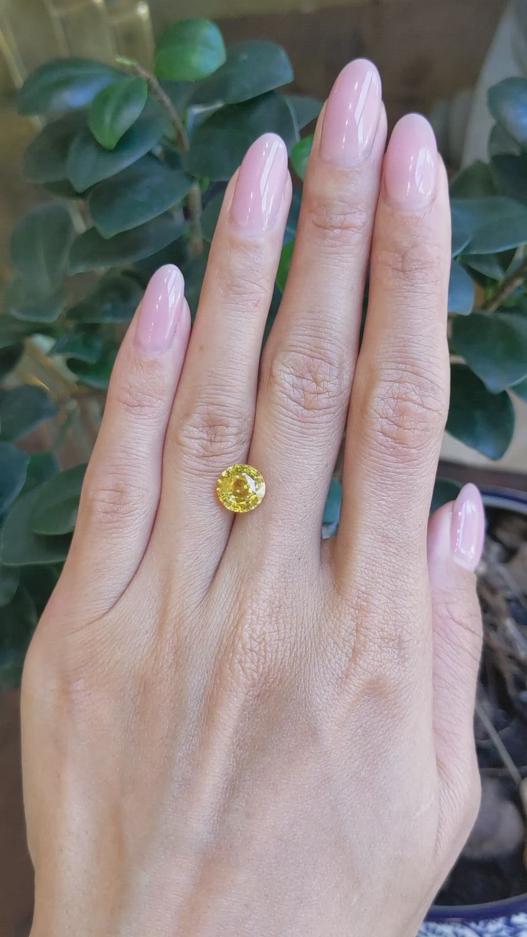 3.53 Ct. Yellow Sapphire from Ceylon (Sri Lanka) Size Video