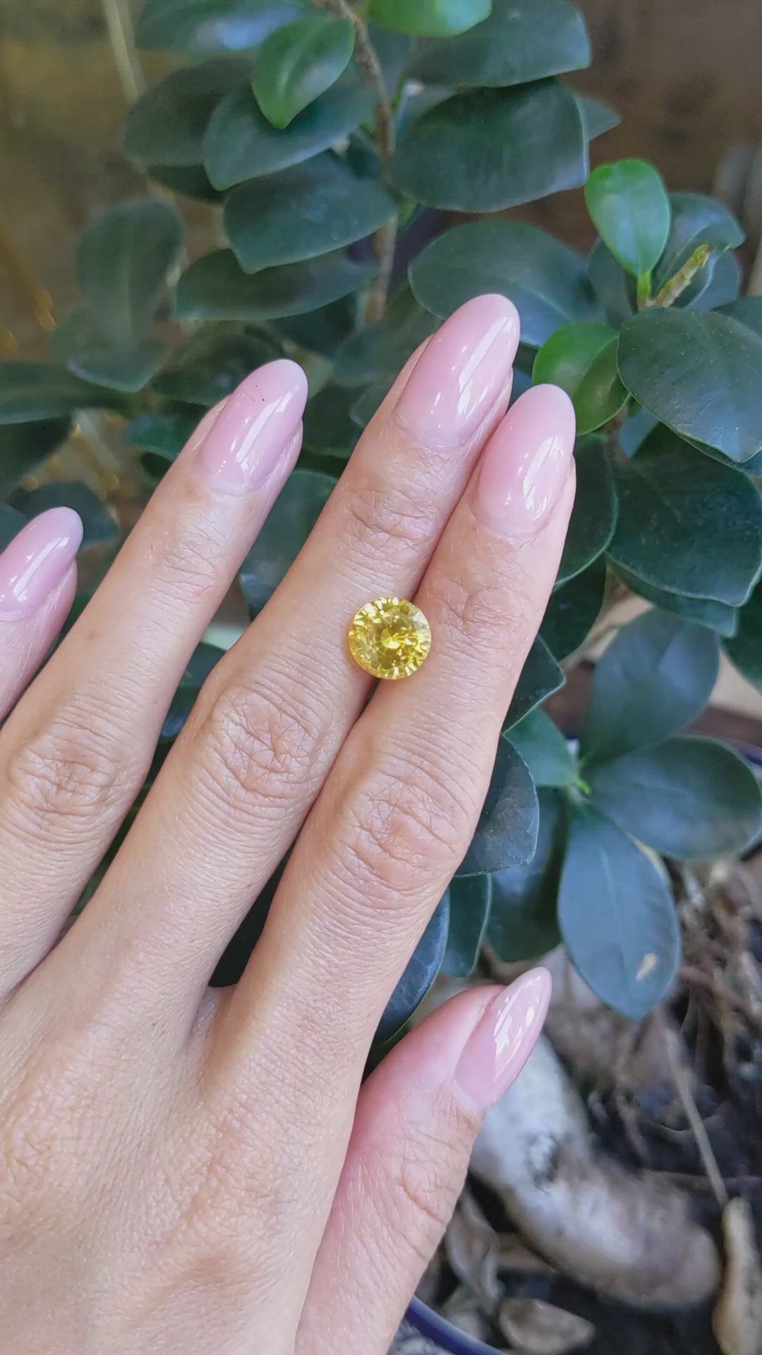 4.19 Ct. Yellow Sapphire from Ceylon (Sri Lanka) Size Video