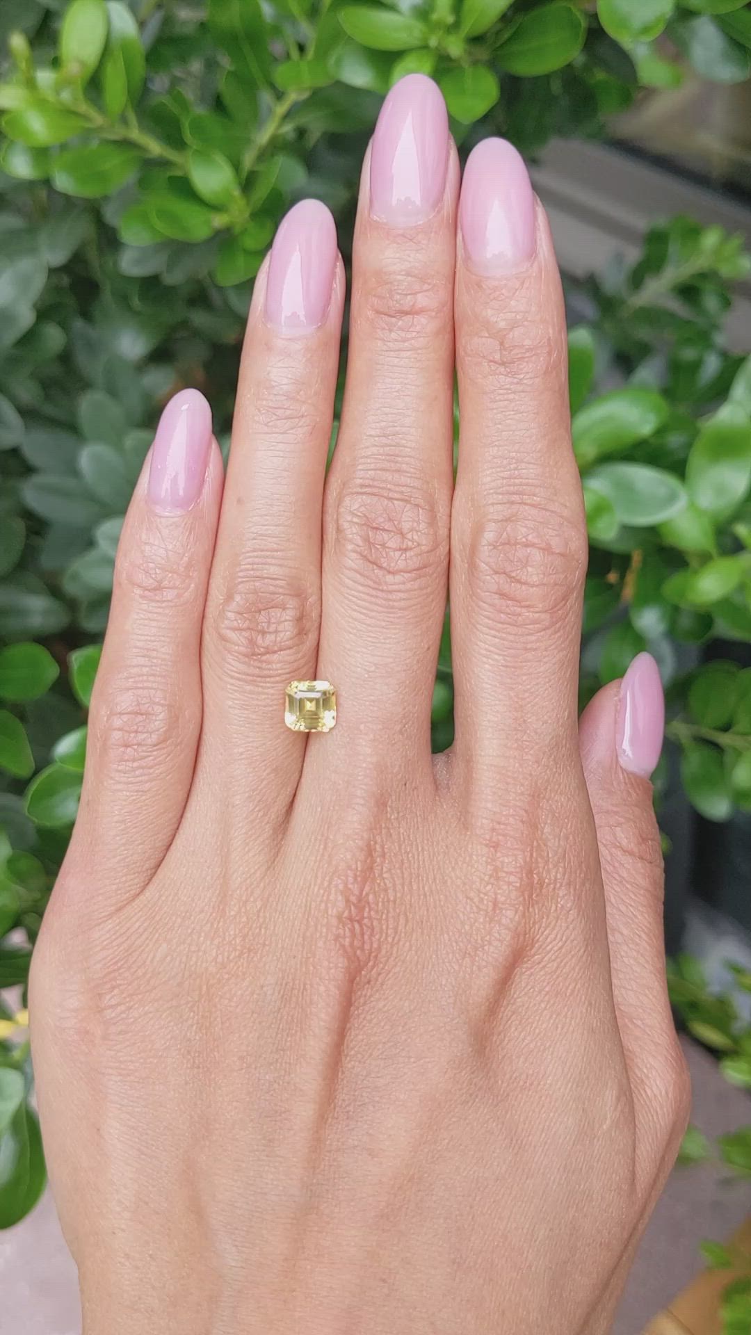 1.75 Ct. Yellow Sapphire from Ceylon (Sri Lanka) Size Video