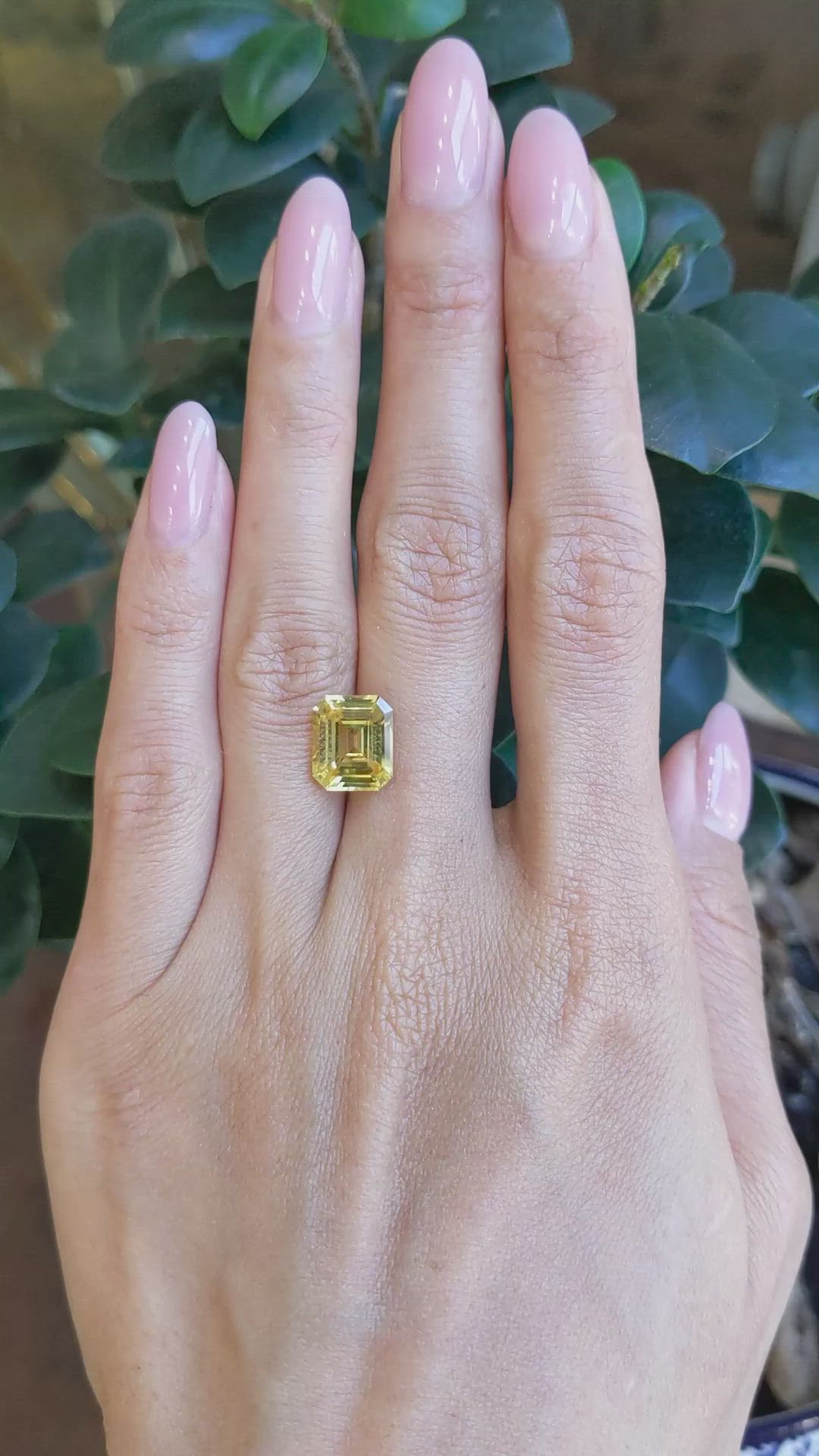 5.06 Ct. Yellow Sapphire from Ceylon (Sri Lanka) Size Video