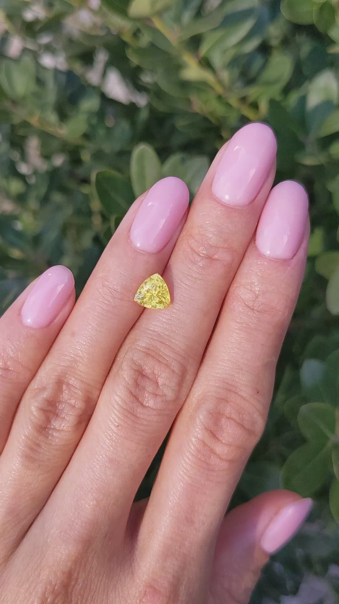 1.56 Ct. Yellow Sapphire from Ceylon (Sri Lanka) Size Video
