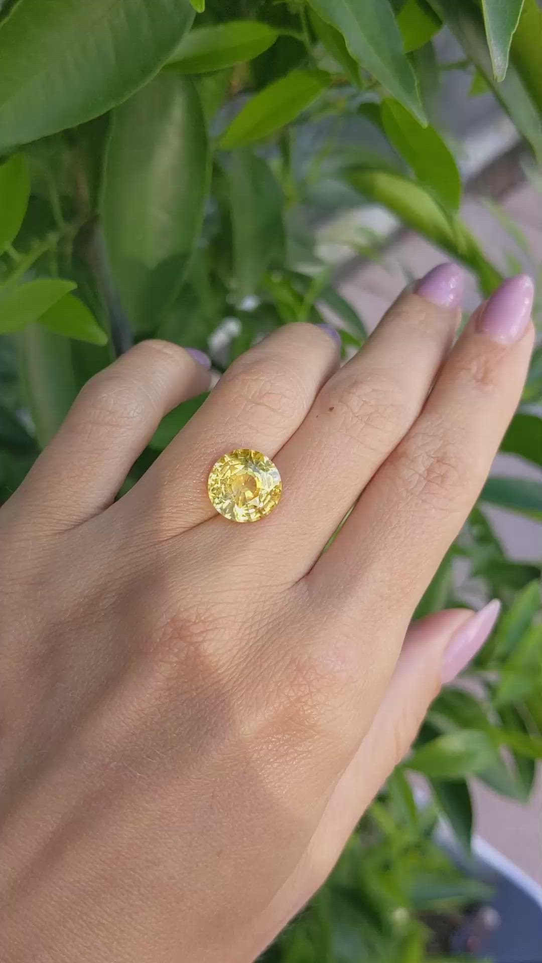 7.00 Ct. Yellow Sapphire from Ceylon (Sri Lanka) Size Video