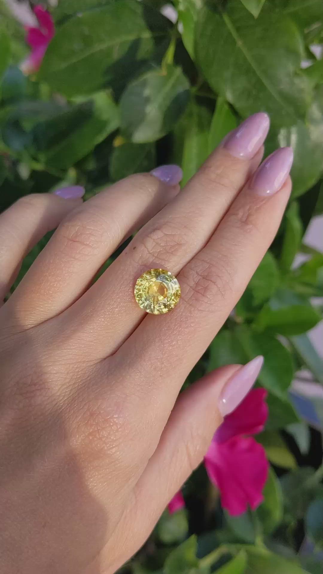 7.00 Ct. Yellow Sapphire from Ceylon (Sri Lanka) Size Video