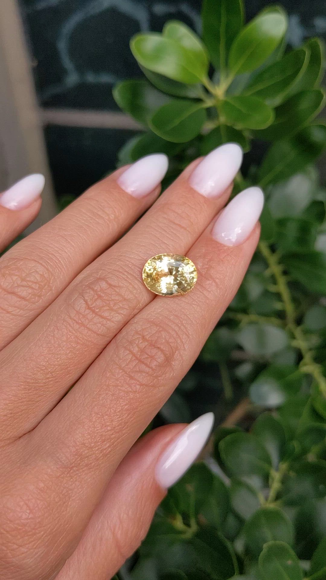 5.76 Ct. Yellow Sapphire from Ceylon (Sri Lanka) Size Video